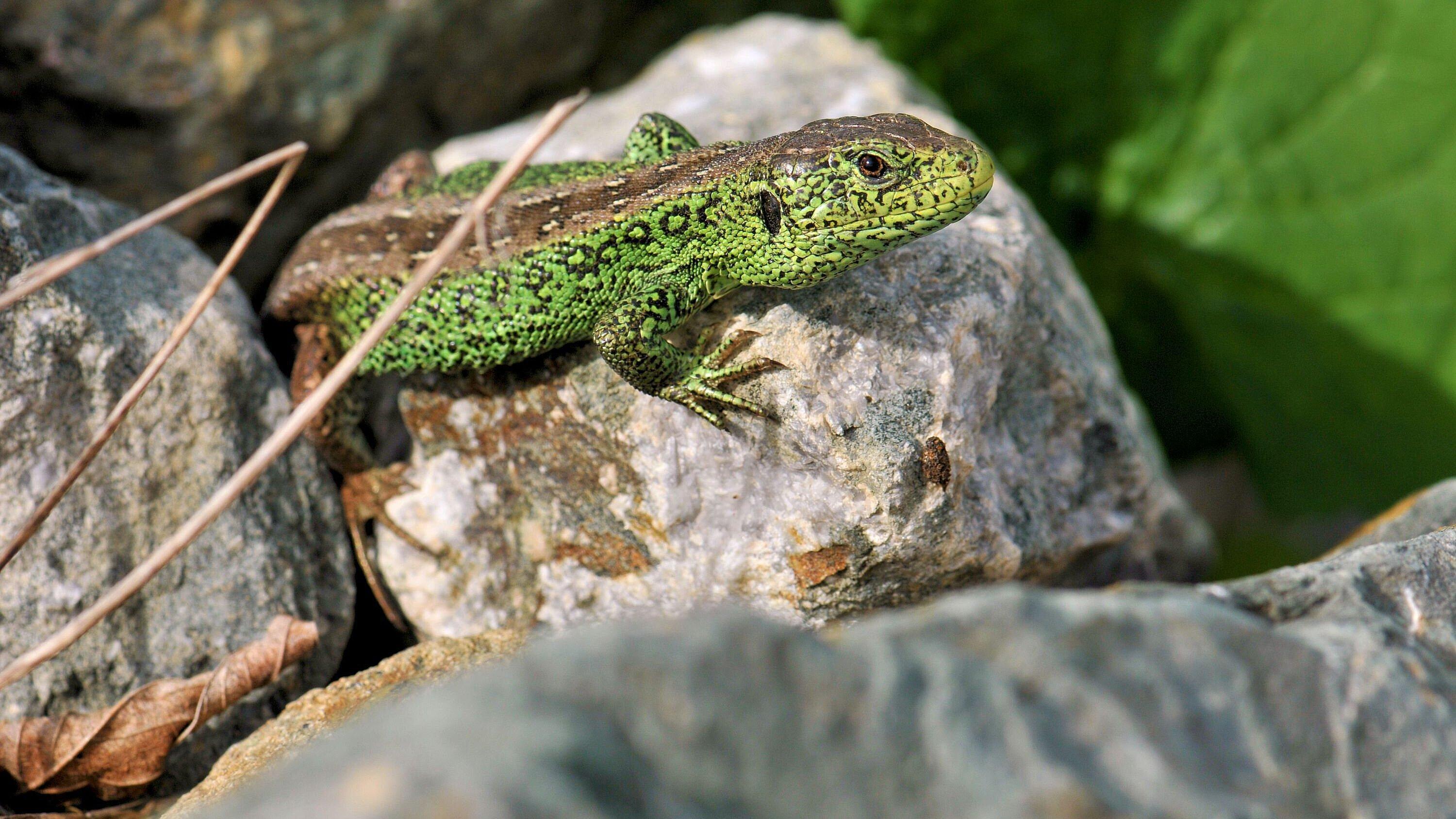 undefined. © Uta Bergner. © Uta Bergner