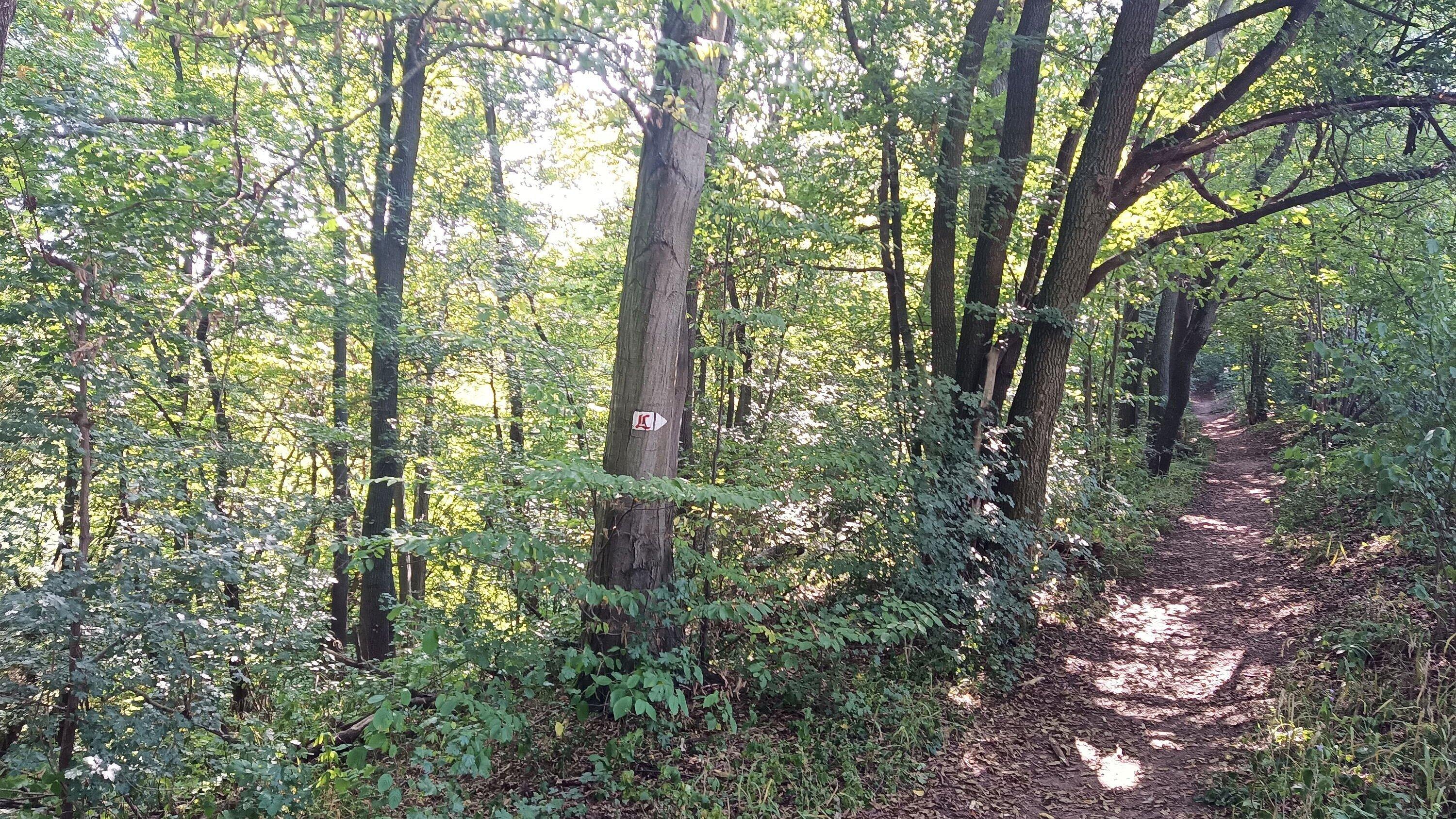 undefined. © Stadt Gera. © Stadt Gera