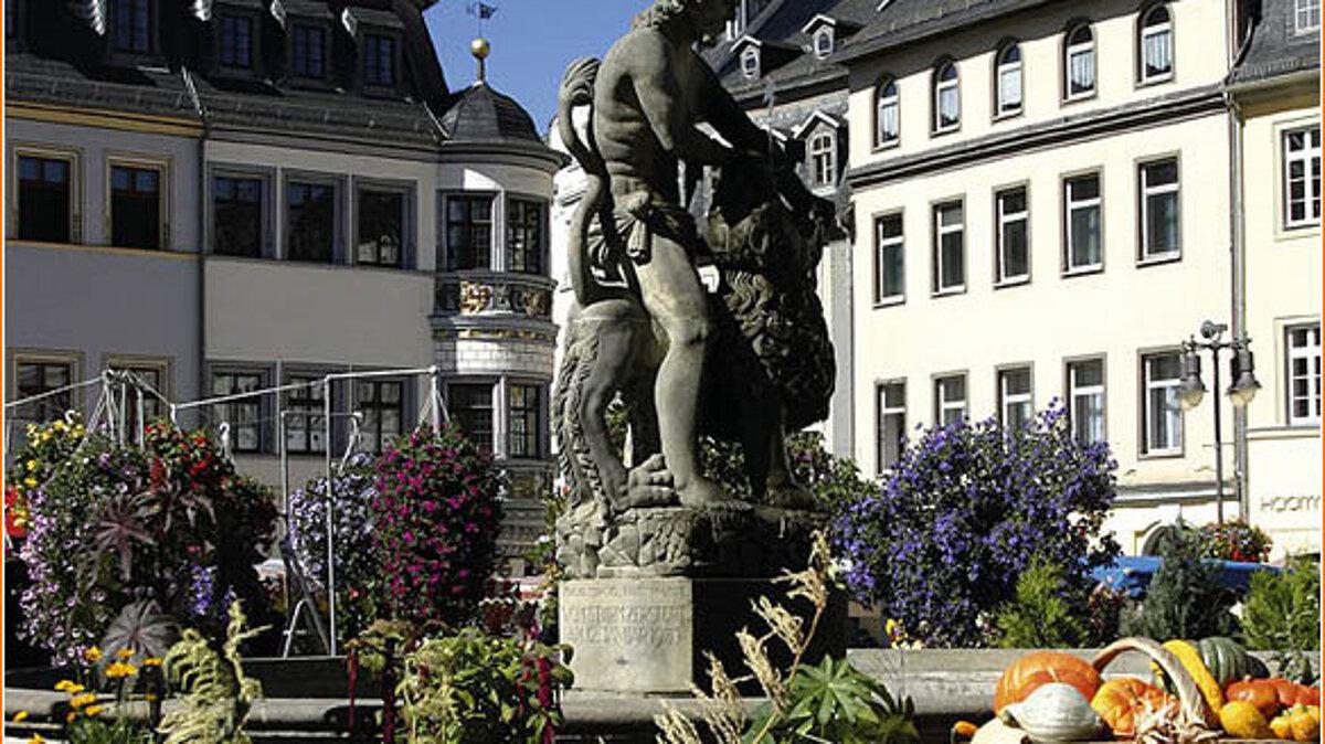 Wochenmarkt auf der Geraer Marktplatz. © Stadt Gera