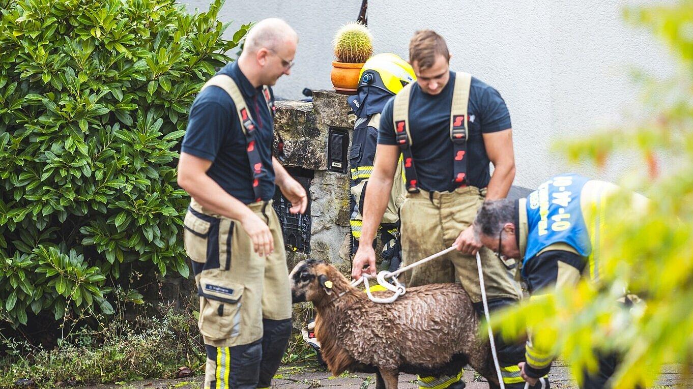 undefined. © Amt für Brand- und Katastrophenschutz. © Amt für Brand- und Katastrophenschutz