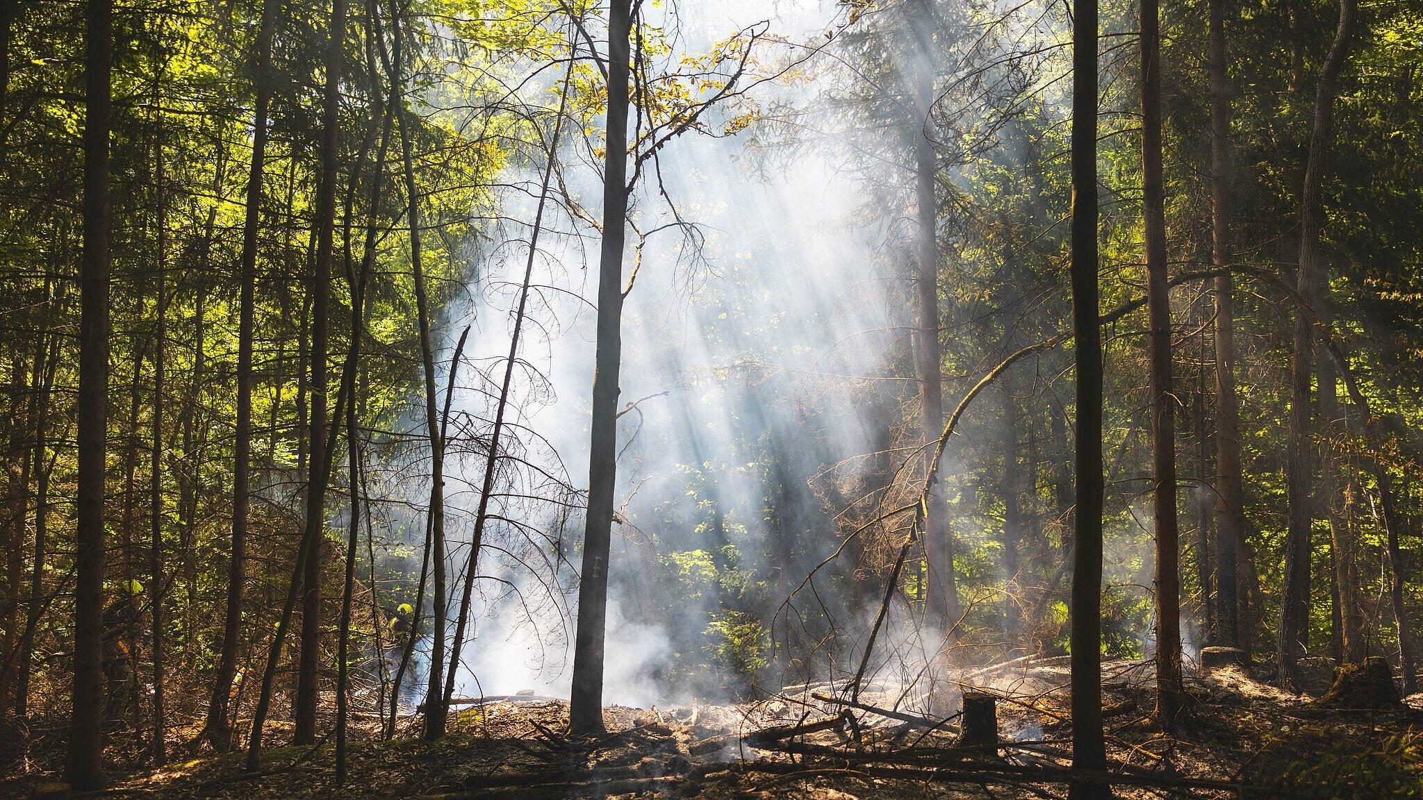 undefined. © Amt für Brand- und Katastrophenschutz. © Amt für Brand- und Katastrophenschutz