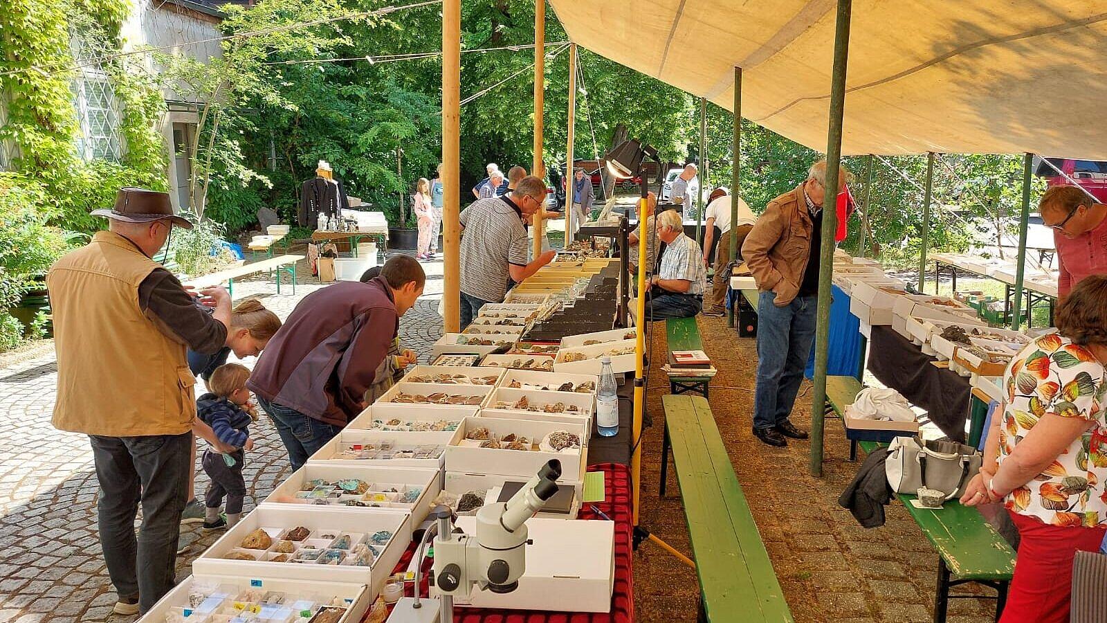 . © Stadt Gera / Museum für Naturkunde (Fotograf: Frank Hrouda)