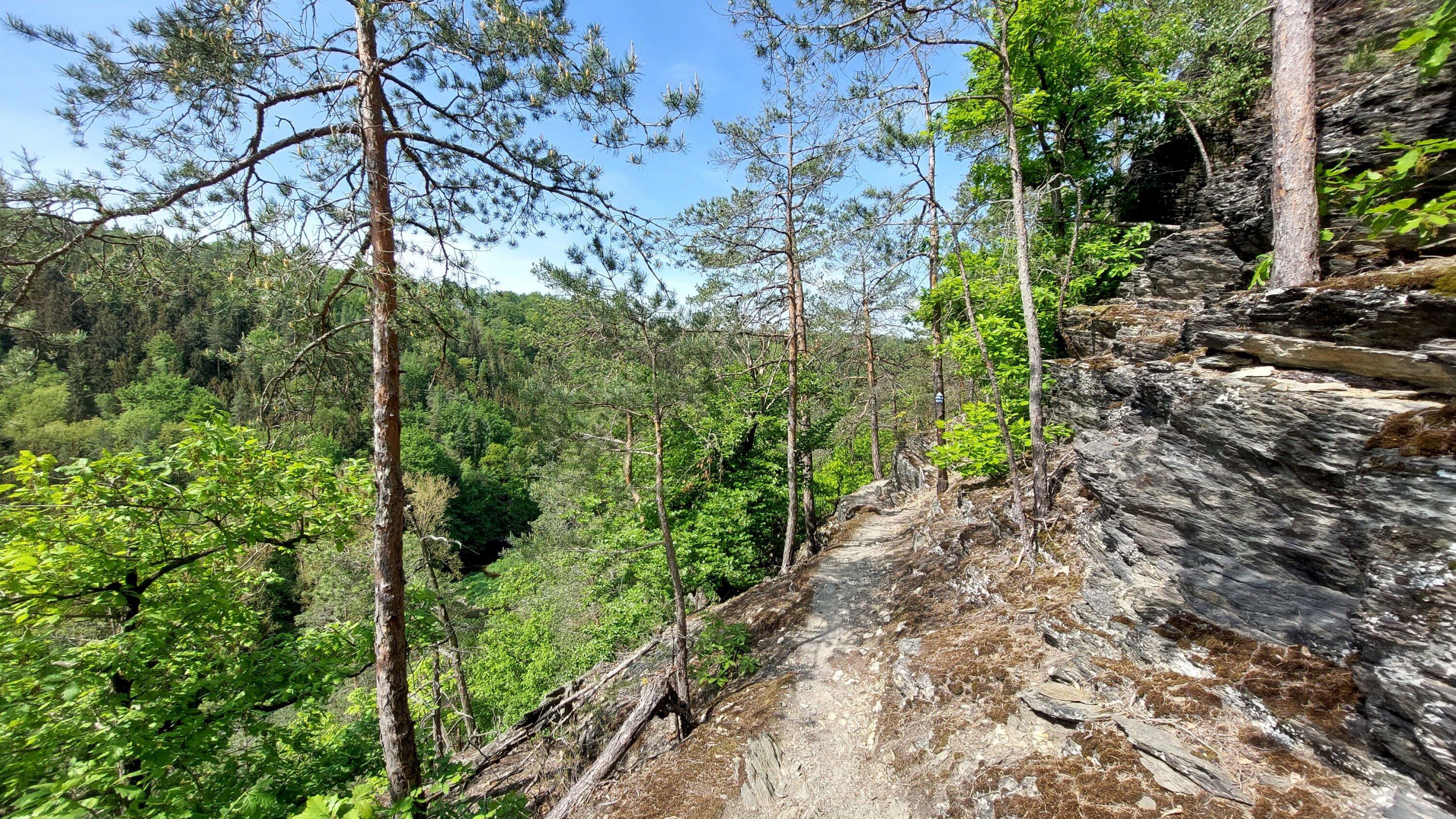 undefined. © Stadt Gera / Museum für Naturkunde (Fotograf: Frank Hrouda). © Stadt Gera / Museum für Naturkunde (Fotograf: Frank Hrouda)