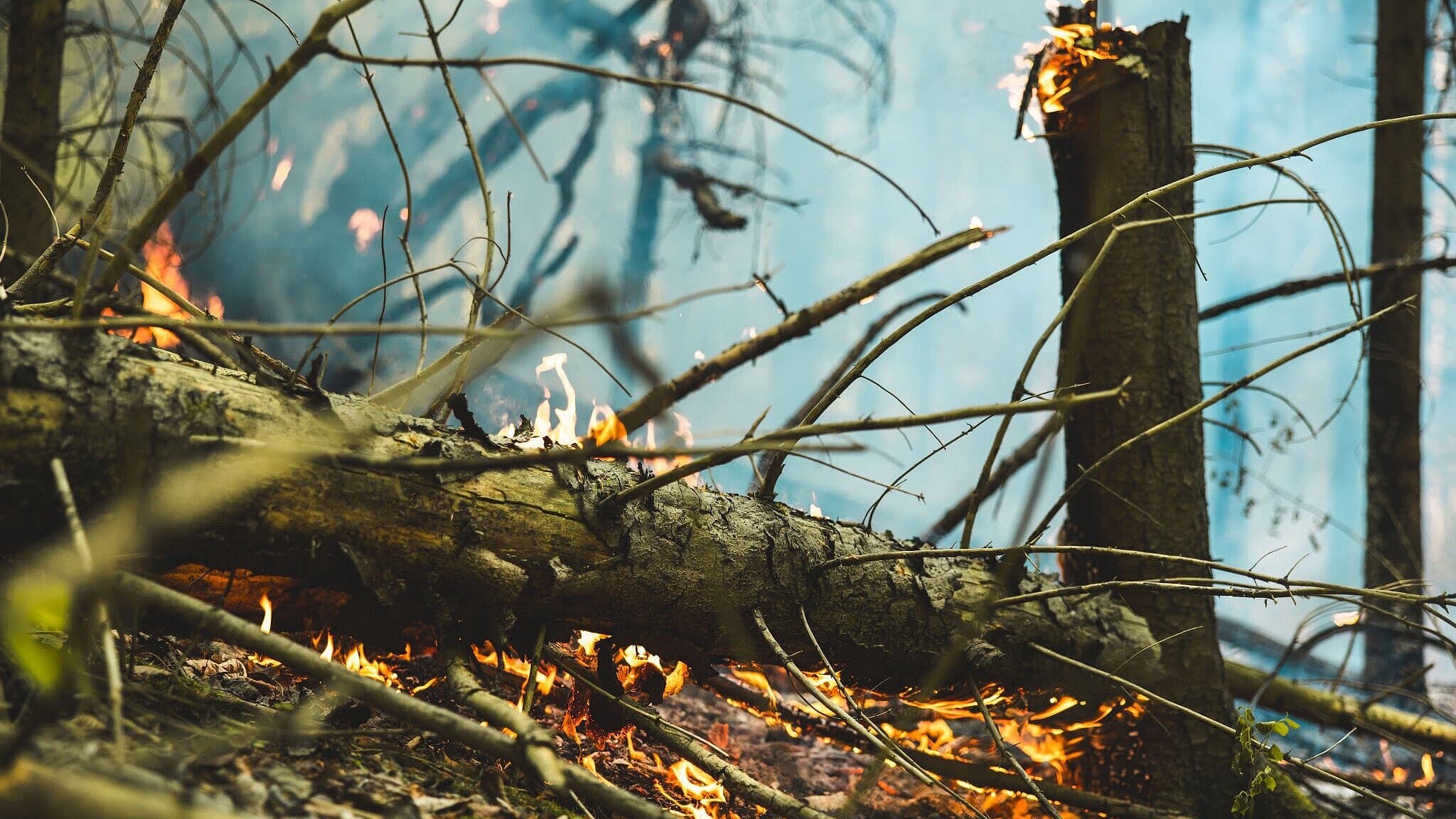 undefined. © Amt für Brand- und Katastrophenschutz. © Amt für Brand- und Katastrophenschutz