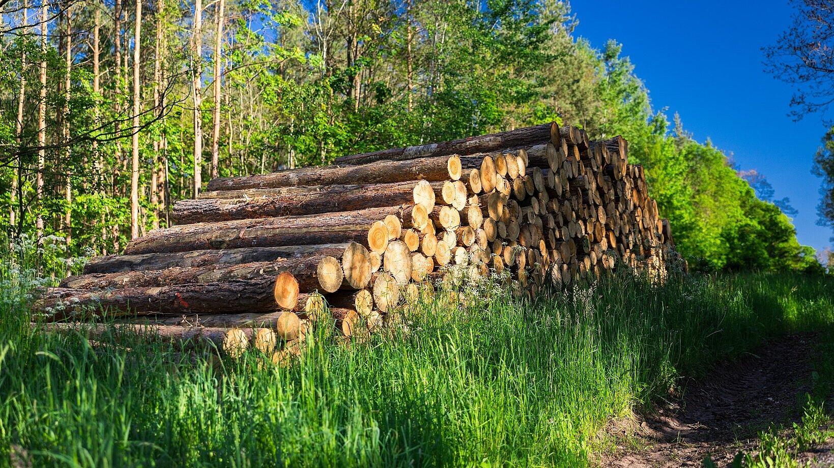 undefined. © Stadt Gera. © Stadt Gera