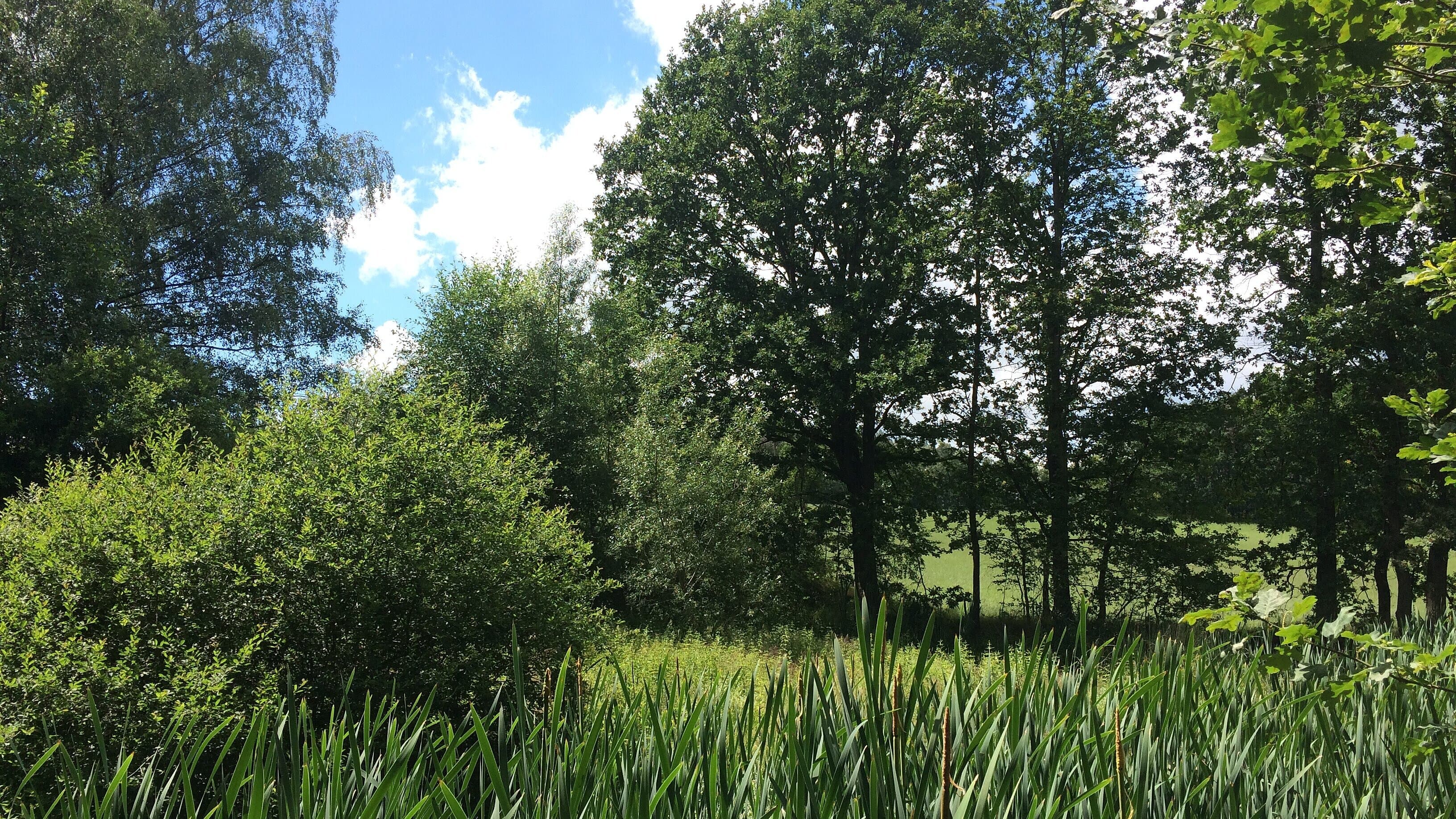 undefined. © Maximilian Schweiger. © Maximilian Schweiger