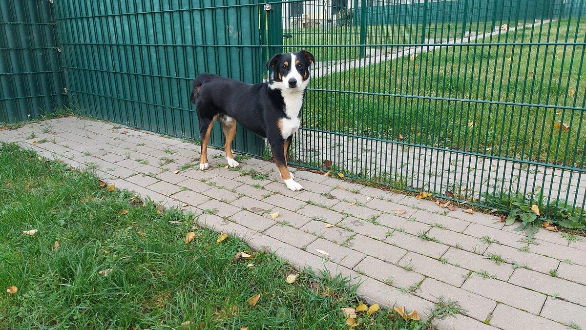 . © Stadt Gera 