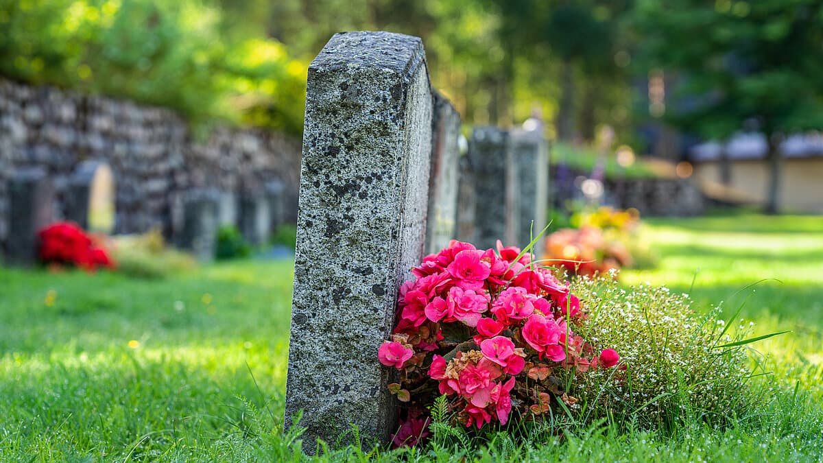 . © Magnus - stock.adobe.com