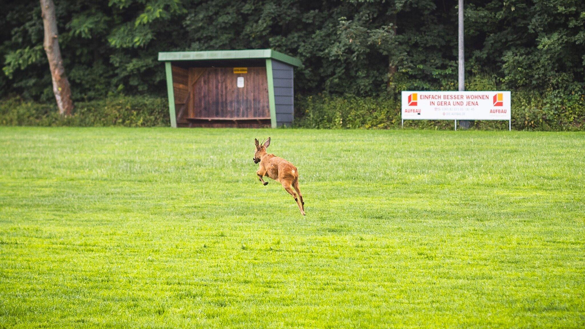 undefined. © Amt für Brand- und Katastrophenschutz. © Amt für Brand- und Katastrophenschutz