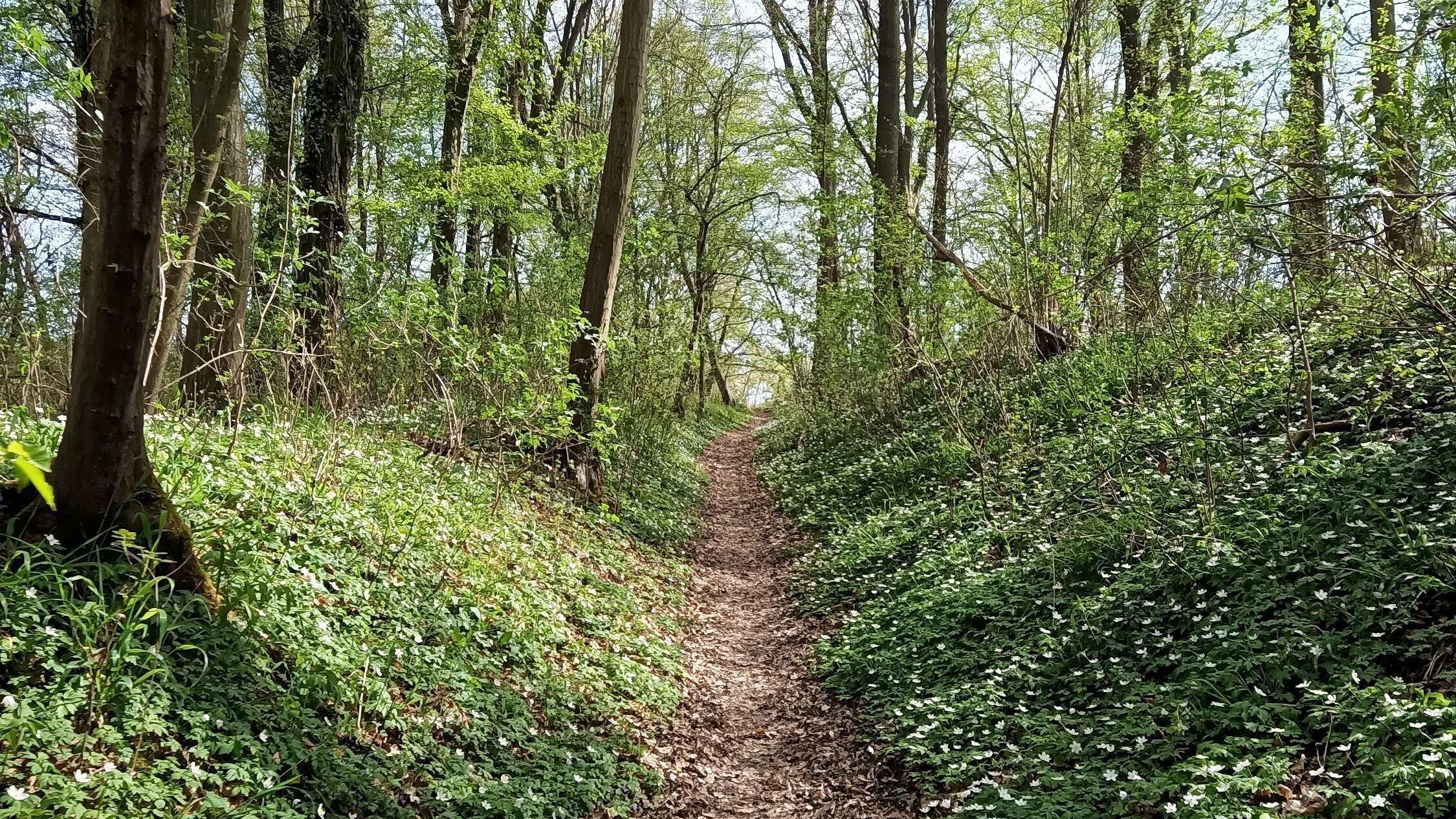 undefined. © Stadt Gera. © Stadt Gera