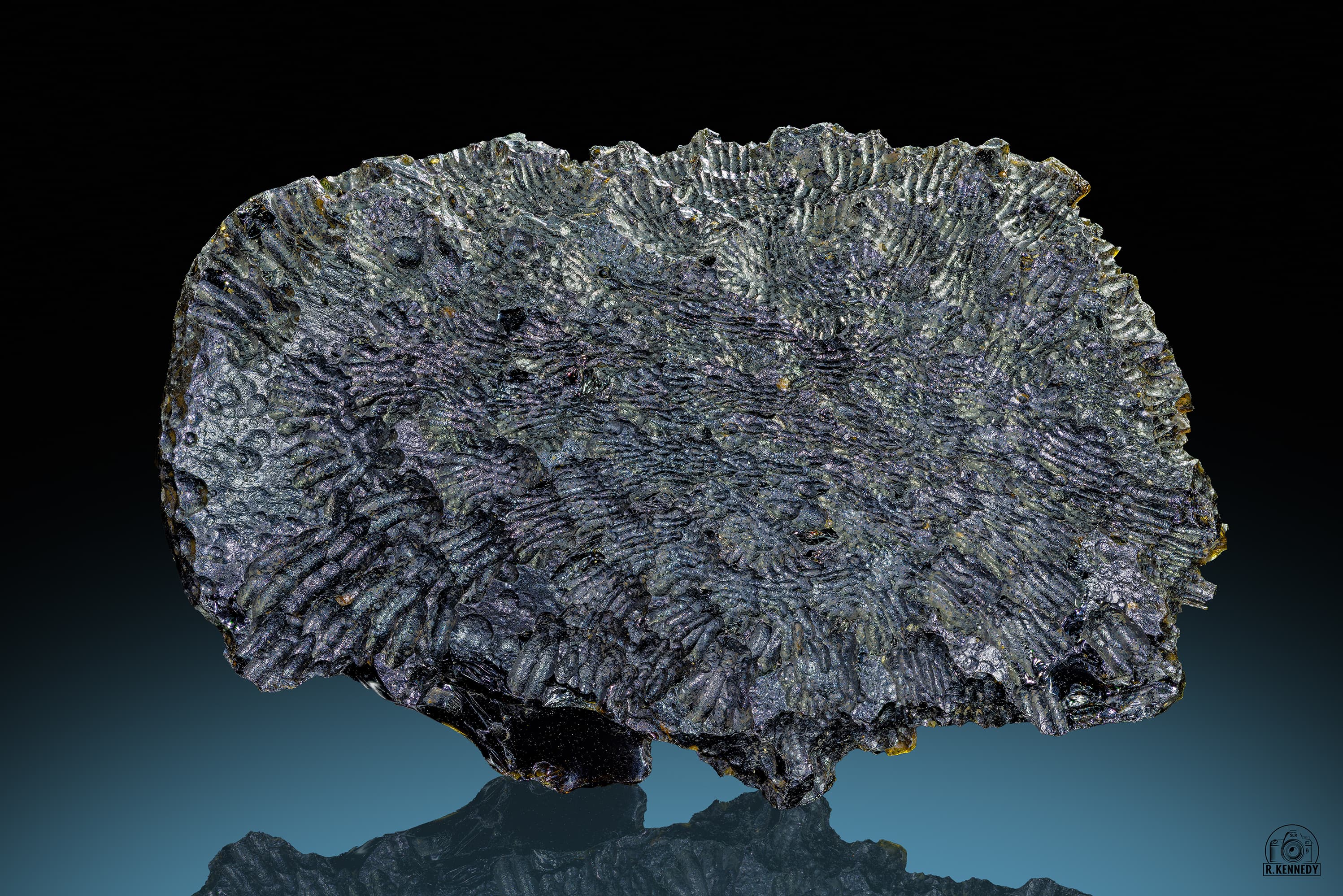 Schwarzer Tektit (Philippinit) mit blütenartiger Oberflächenstruktur aus dem Barangay Luna, Stadtgemeinde Bolinao, Provinz Pangasinan, Luzon, Philippinen, 6,8 x 4,3 x 1,8 cm