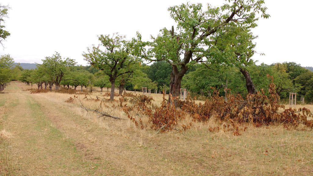 undefined. © Andrea Geithner. © Andrea Geithner