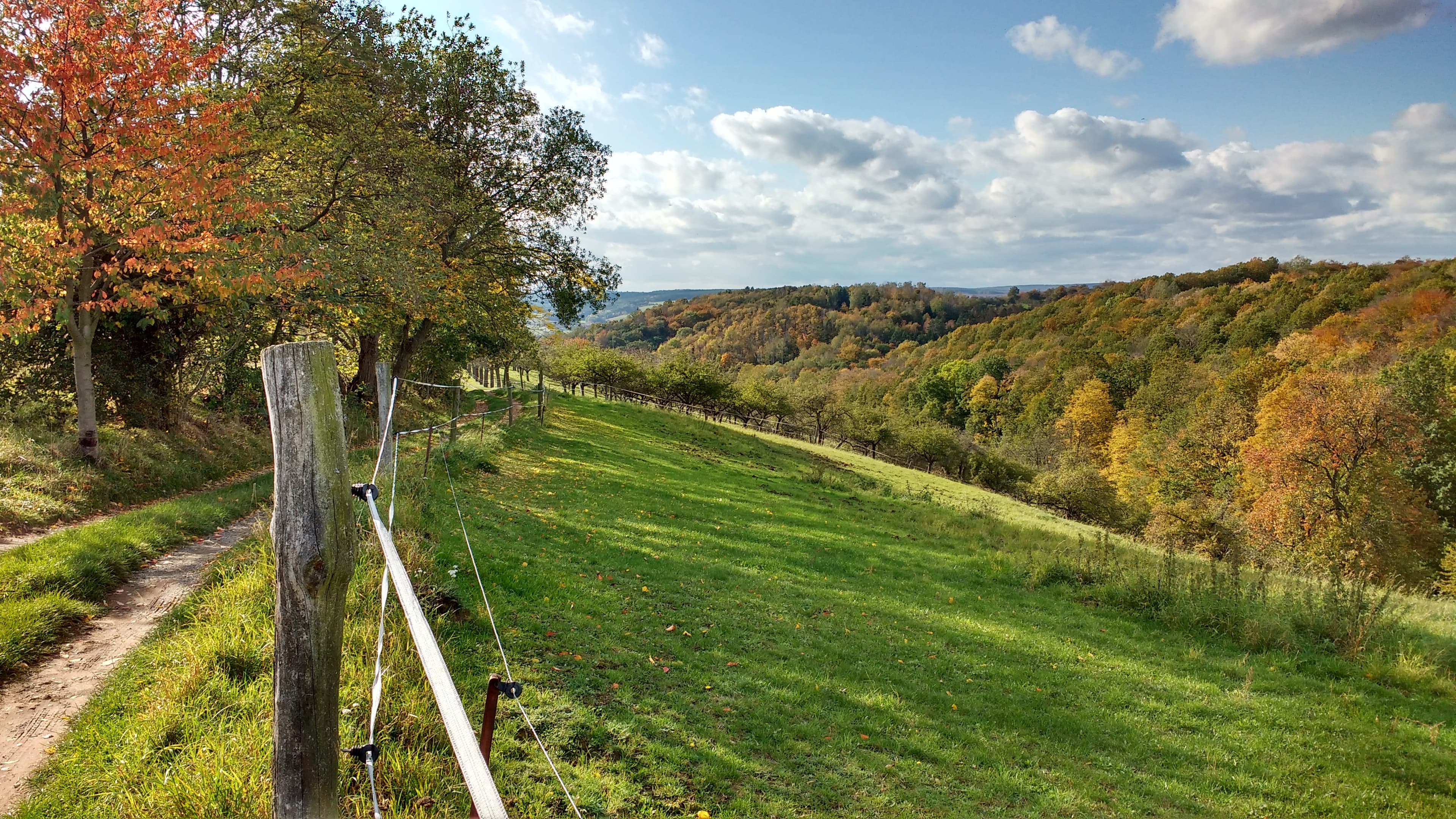 undefined. © Andrea Geithner. © Andrea Geithner