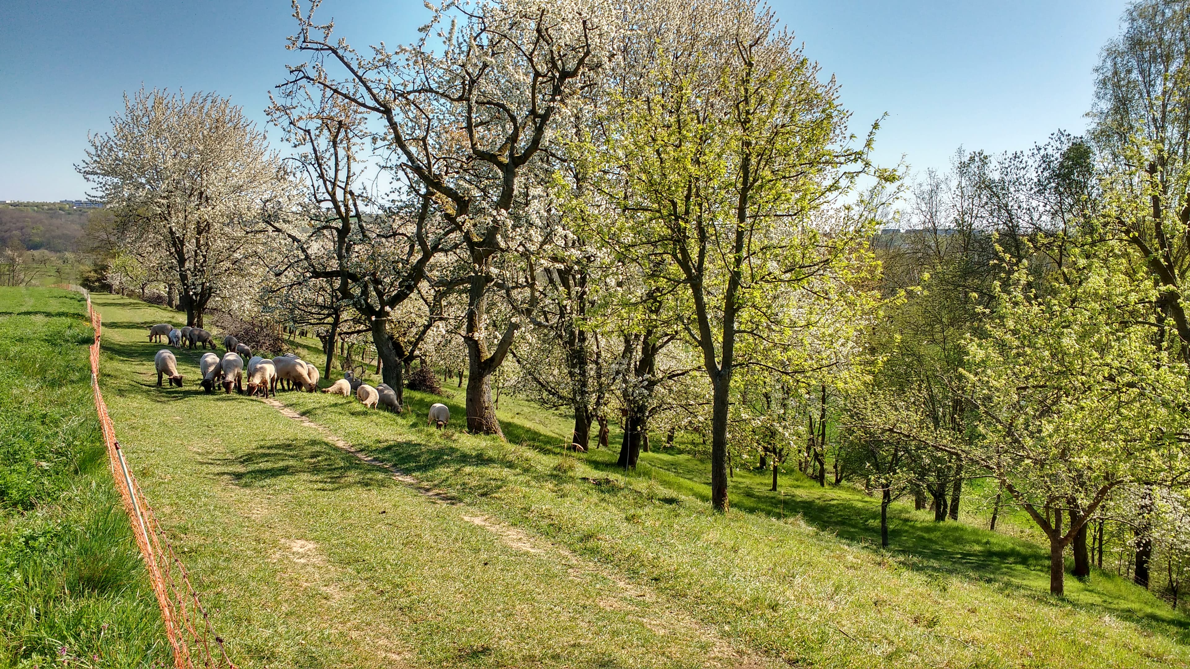 undefined. © Andrea Geithner. © Andrea Geithner