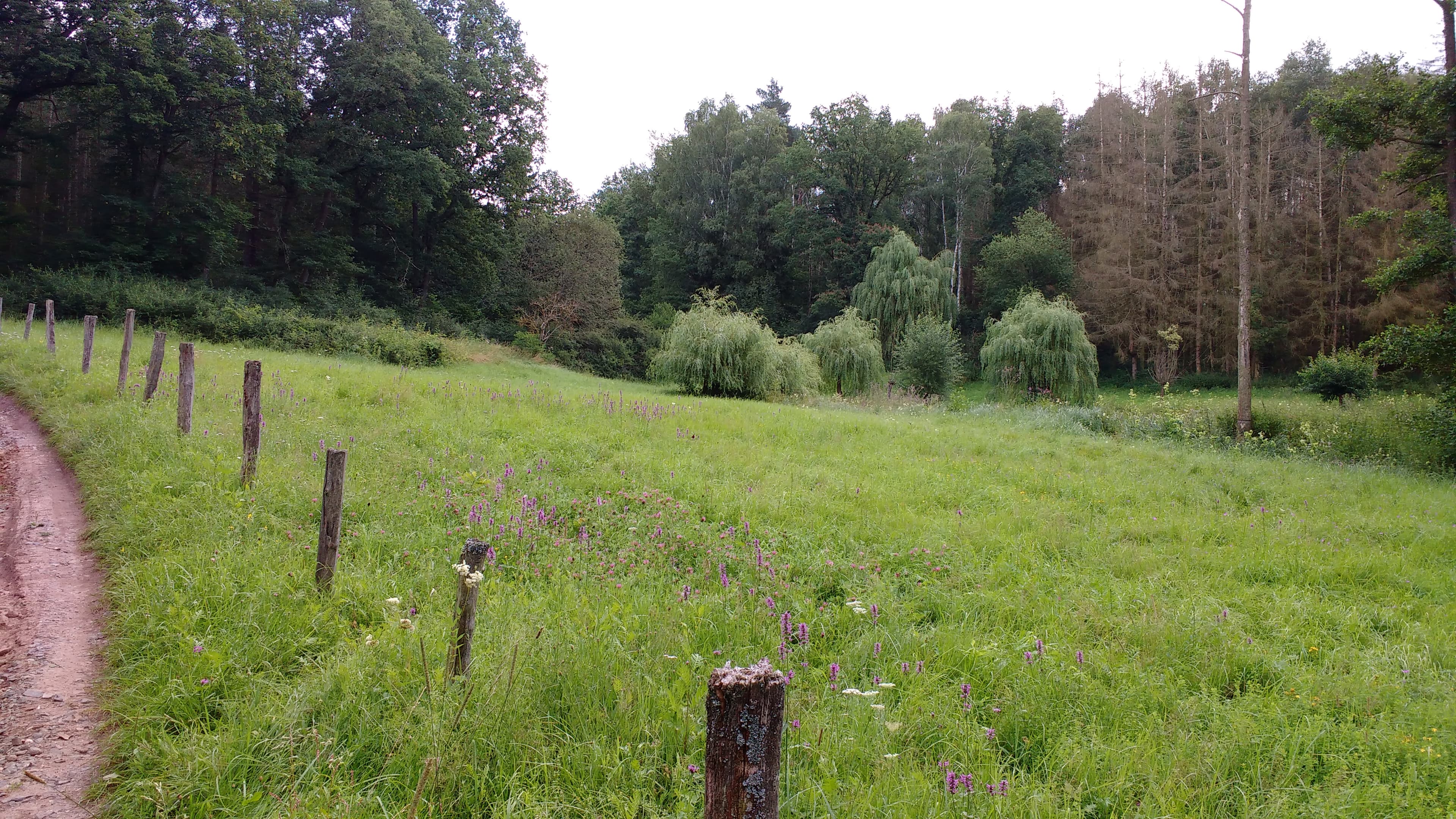 undefined. © Andrea Geithner. © Andrea Geithner