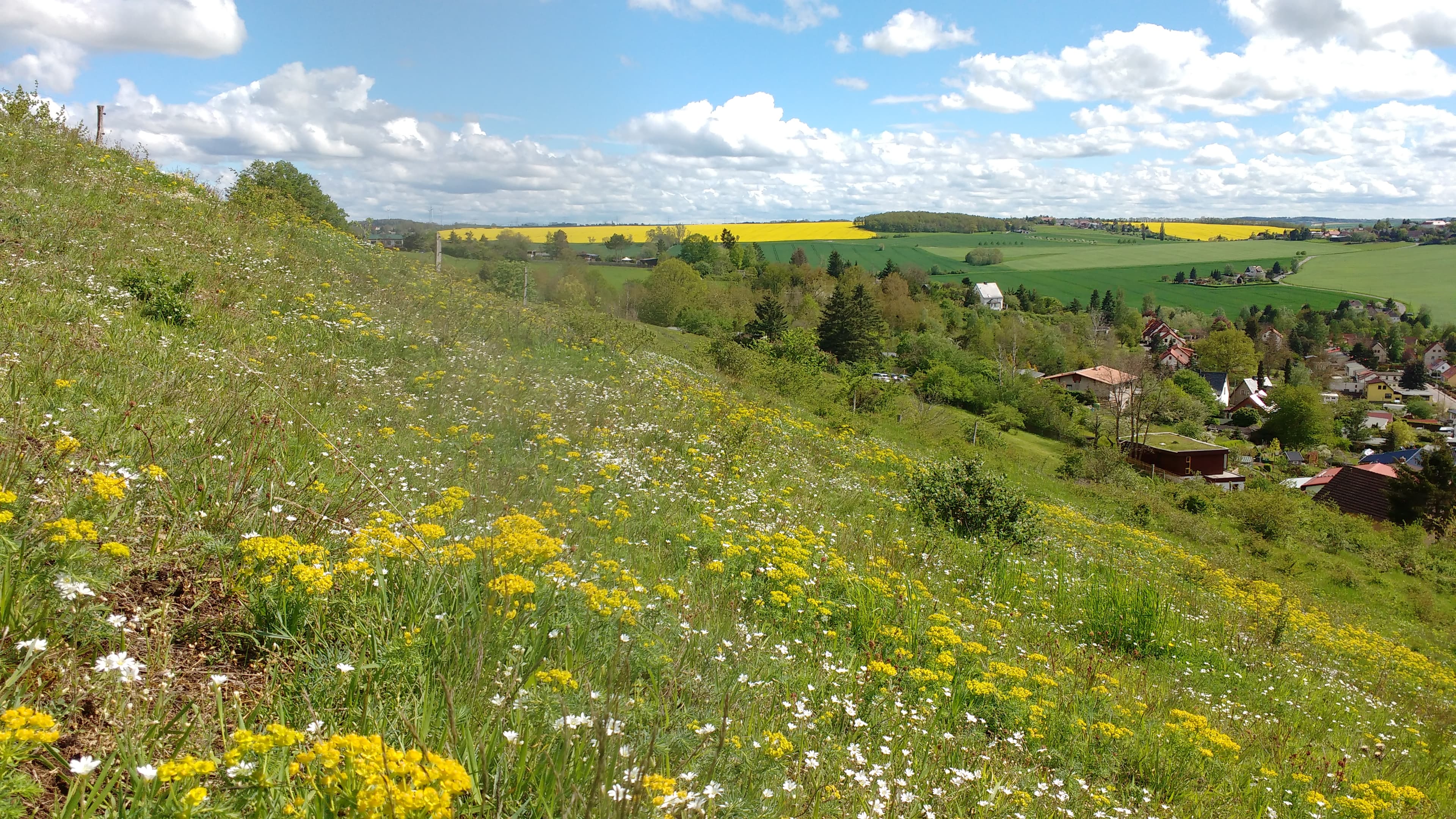 undefined. © Andrea Geithner. © Andrea Geithner