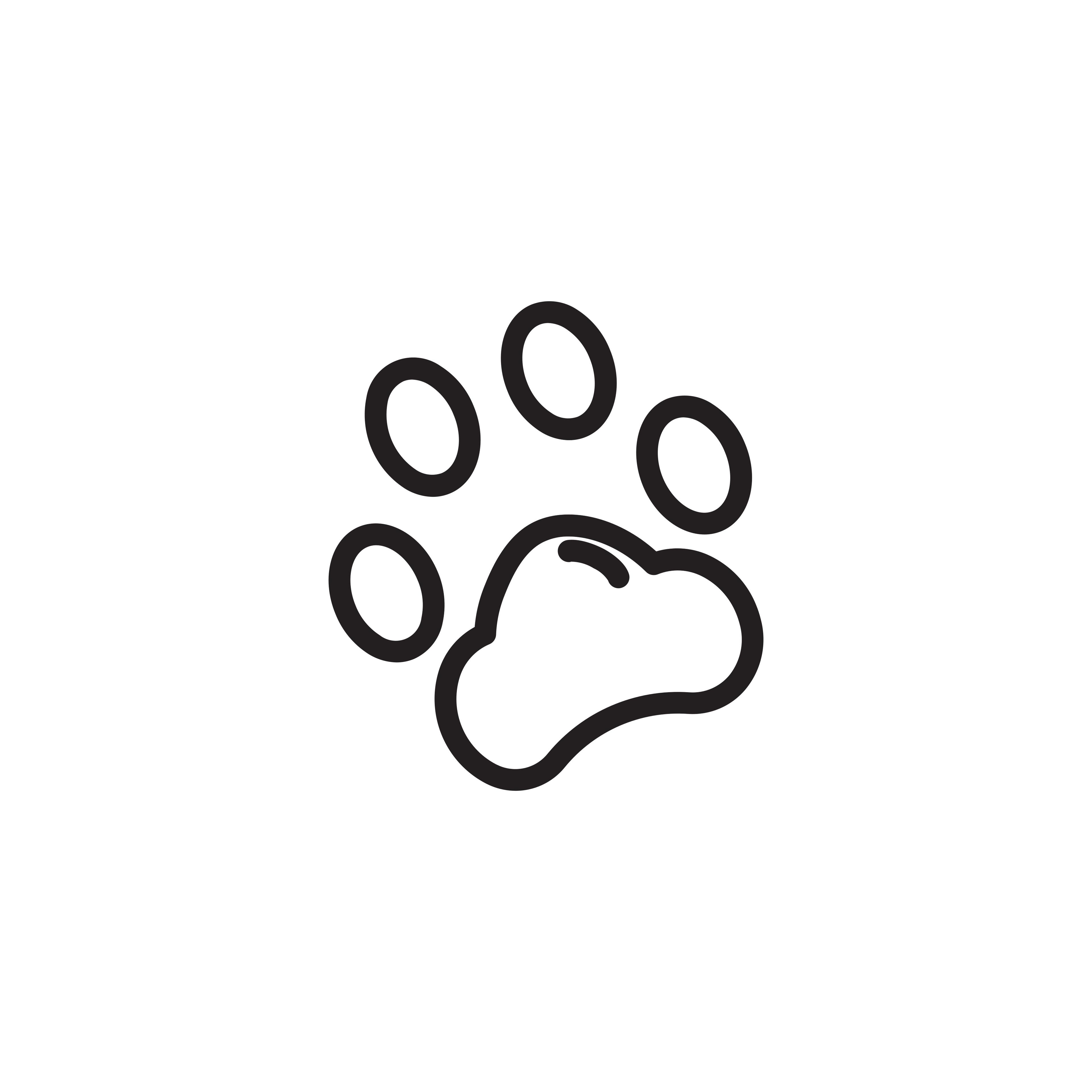 Hundepfote. © stock.adobe.com / Bledos studio