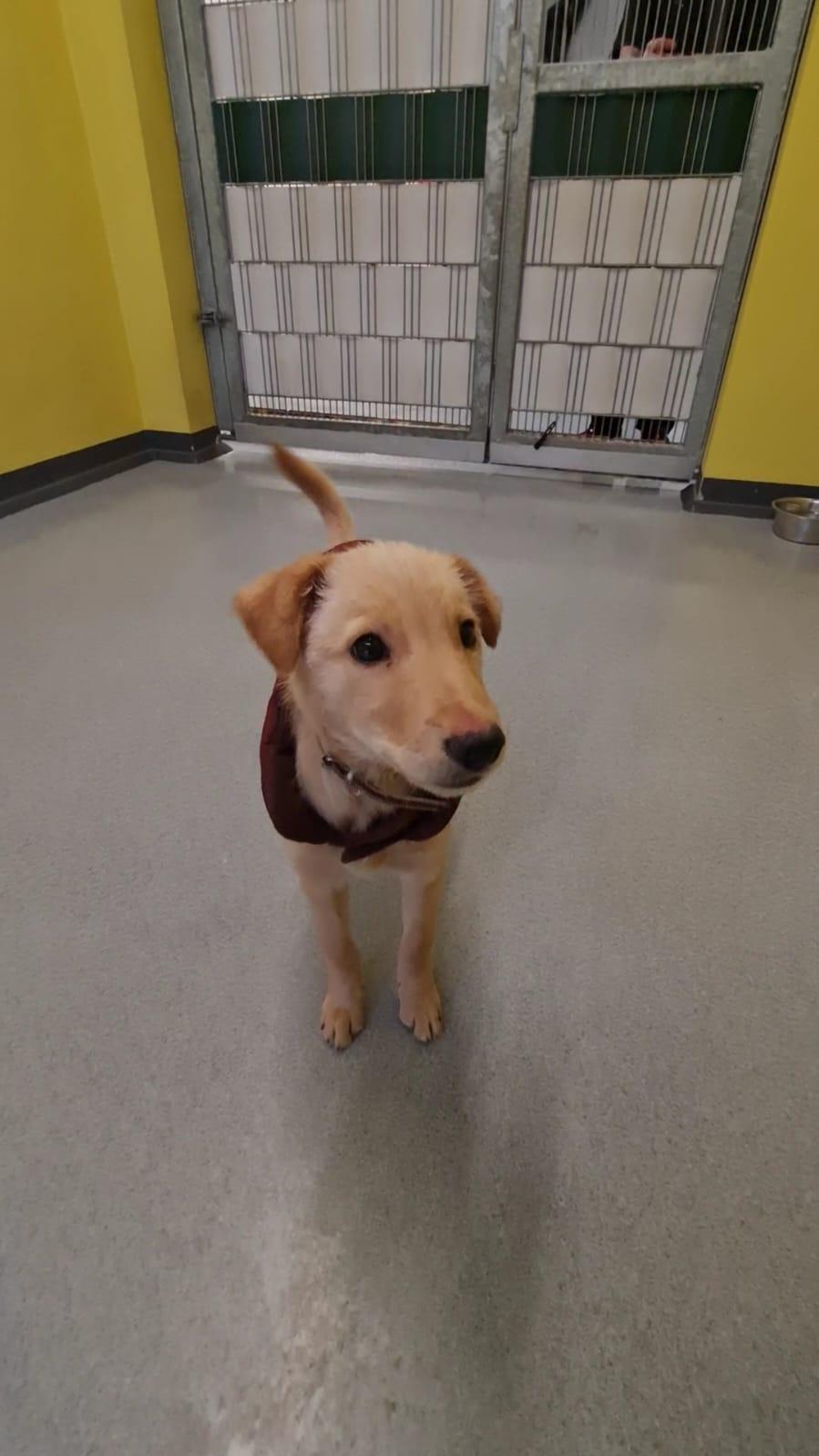 undefined. © Stadt Gera . © Stadt Gera