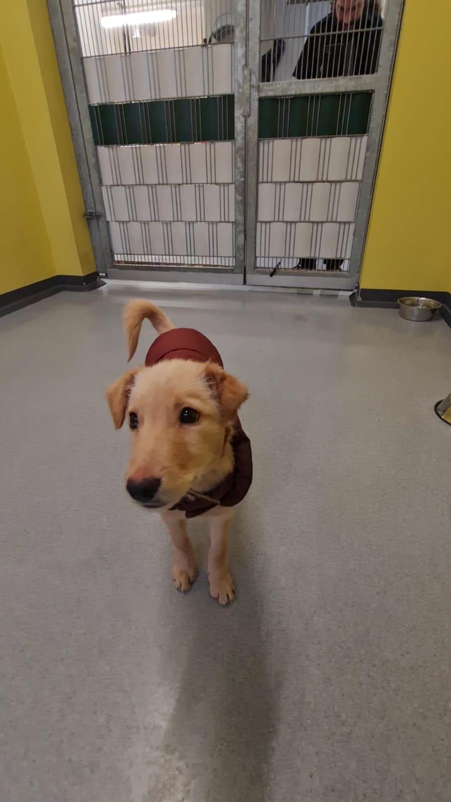 undefined. © Stadt Gera . © Stadt Gera