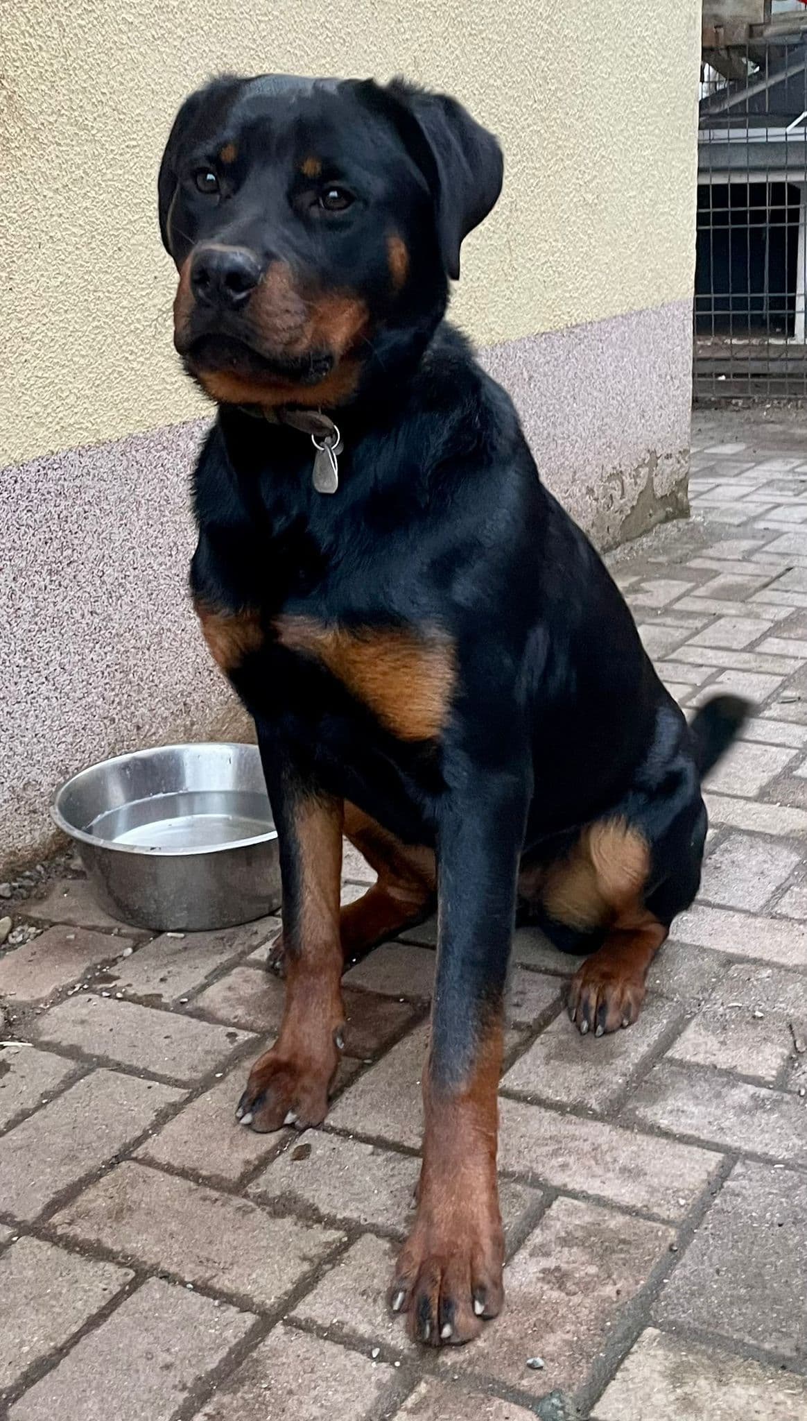 undefined. © Stadt Gera . © Stadt Gera