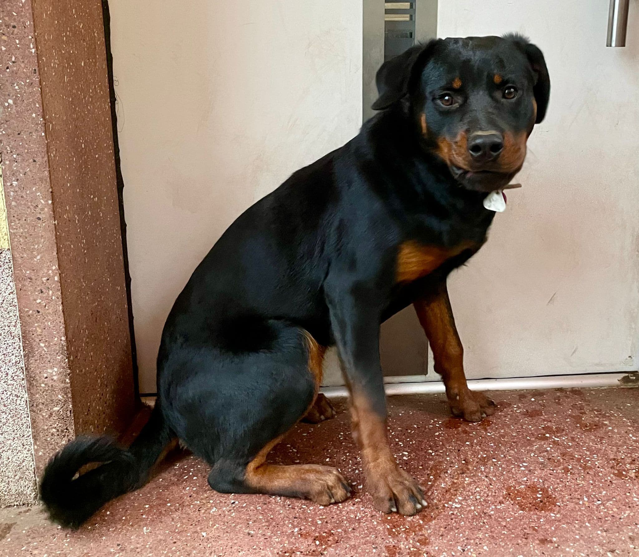 undefined. © Stadt Gera . © Stadt Gera