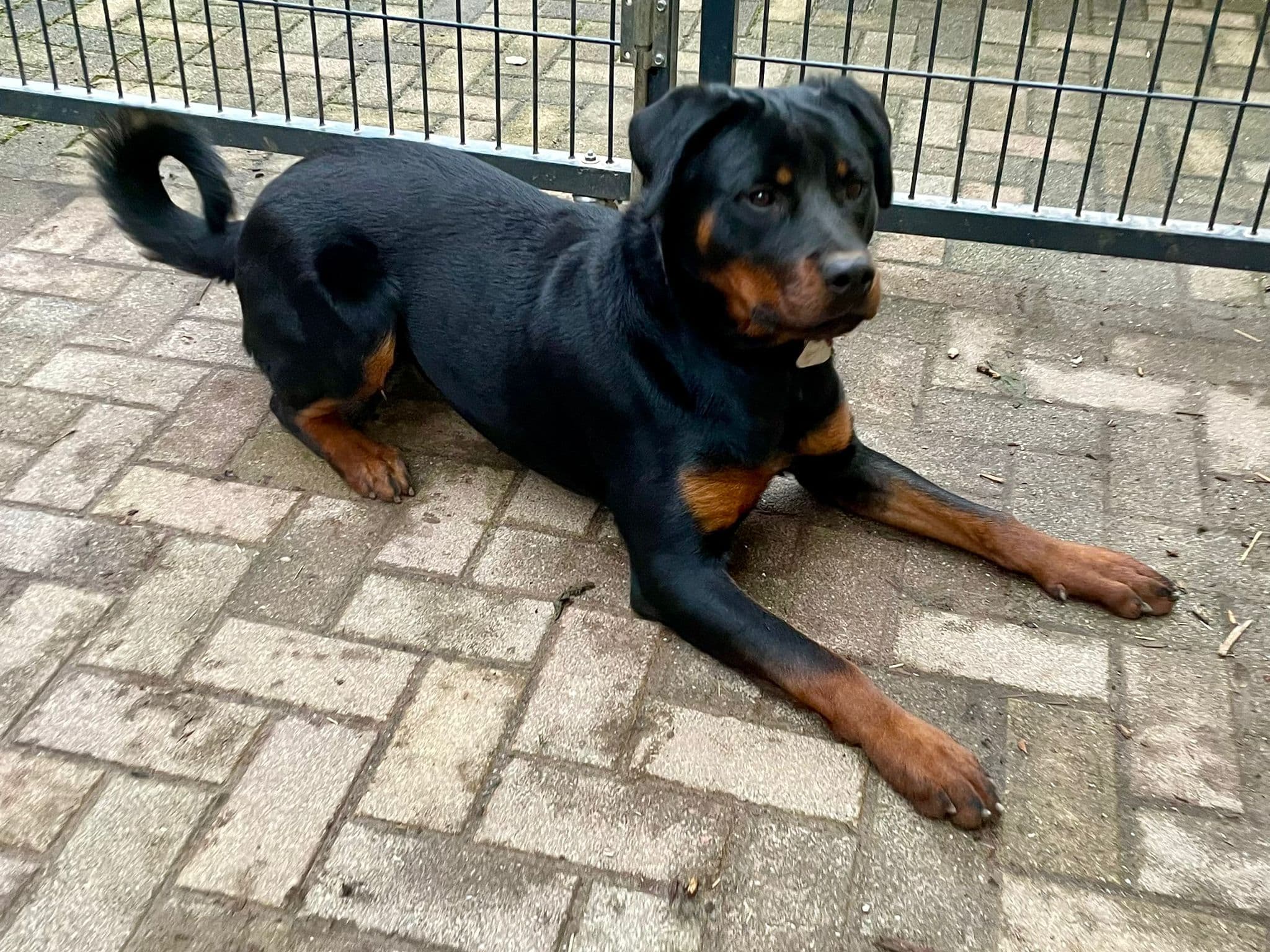 undefined. © Stadt Gera . © Stadt Gera