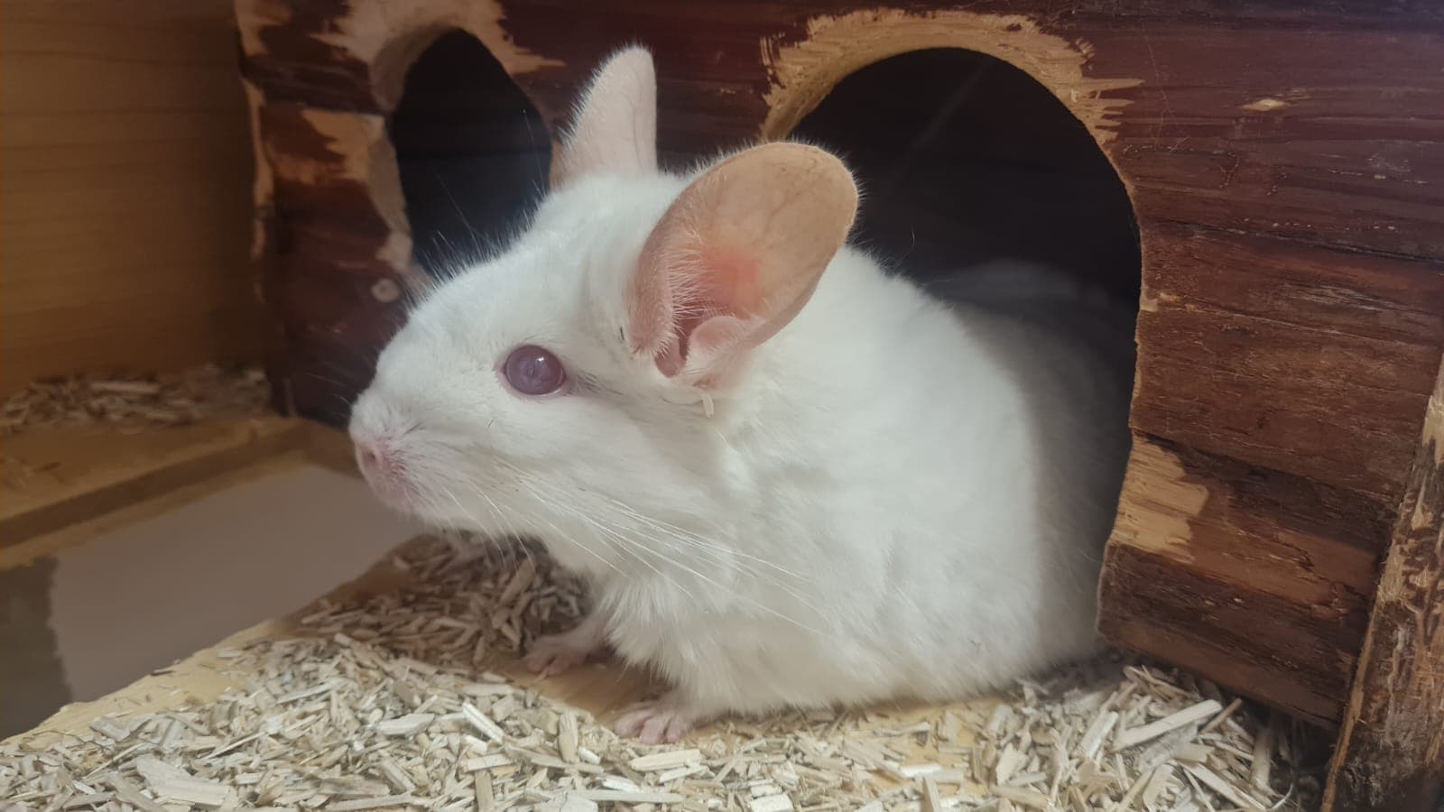 undefined. © Stadt Gera . © Stadt Gera