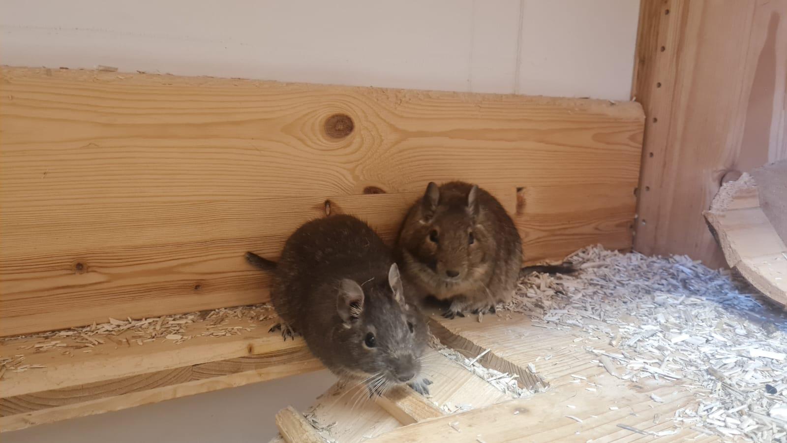 undefined. © Stadt Gera . © Stadt Gera