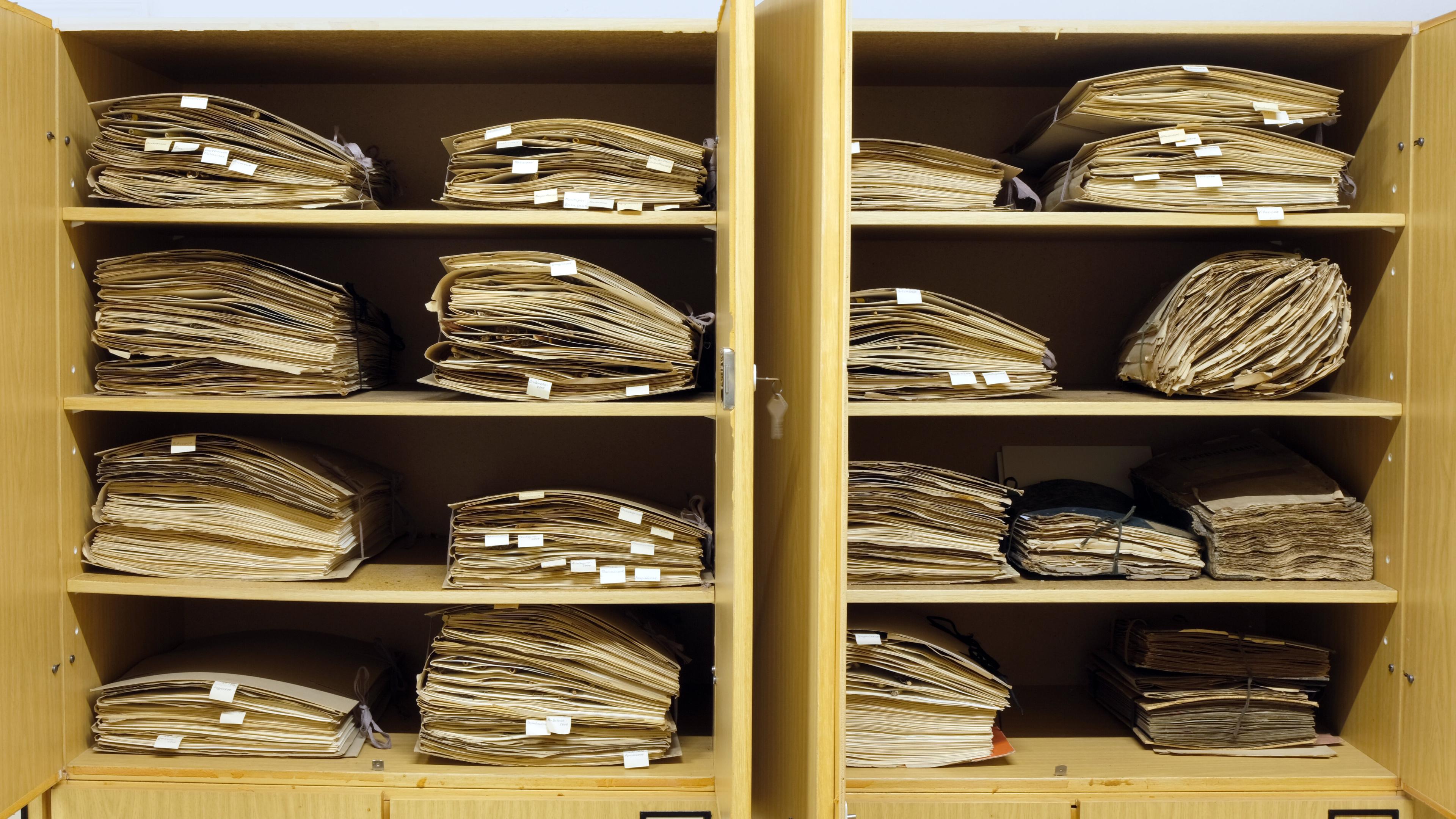 undefined. © Stadt Gera / Museum für Naturkunde Gera (Fotograf: René Köhler). © Stadt Gera / Museum für Naturkunde Gera (Fotograf: René Köhler)