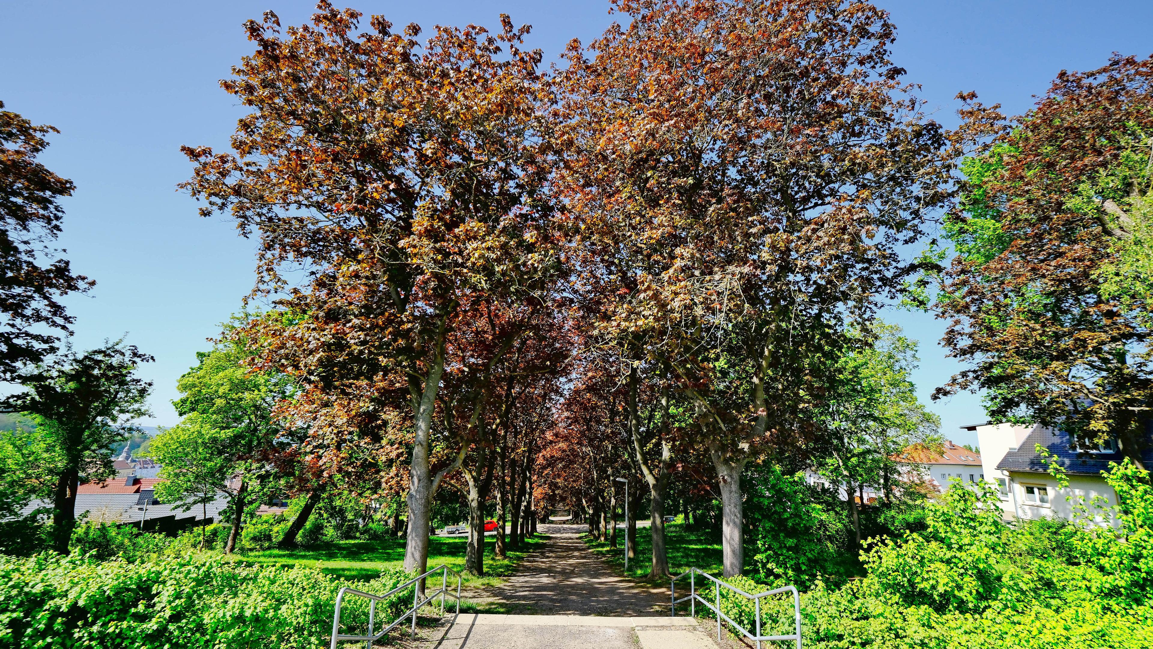 undefined. © Bernd Krekel. © Bernd Krekel