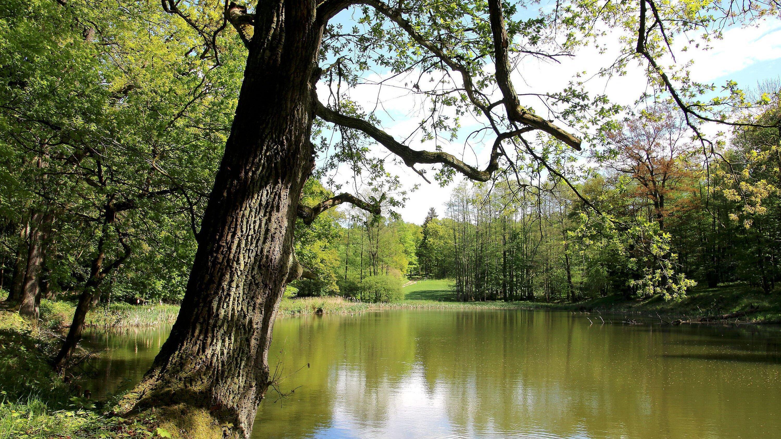 undefined. © Stadt Gera. © Stadt Gera