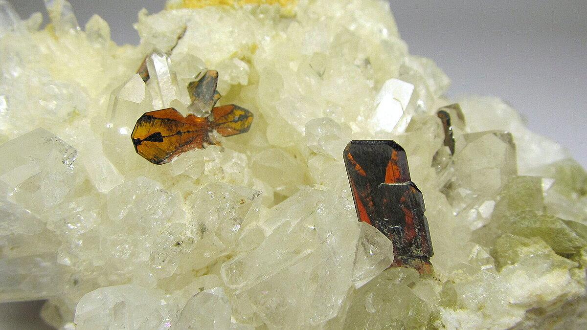 Dünntafelige, braune Kristalle des Titanminerals Brookit auf Quarz von den Zard-Bergen in Pakistan 