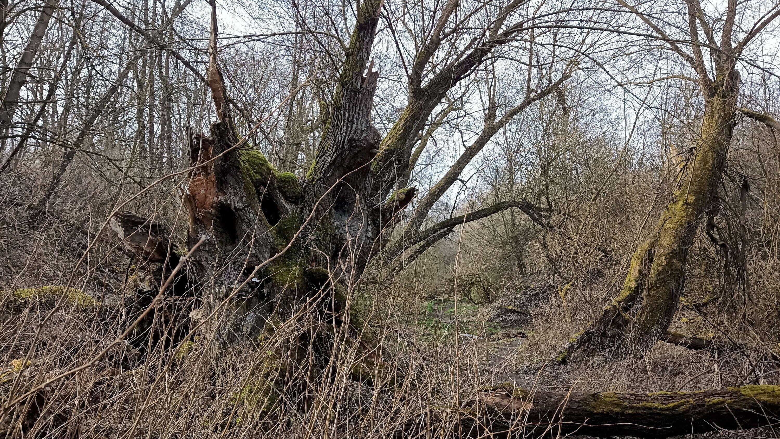 undefined. © Stadt Gera. © Stadt Gera