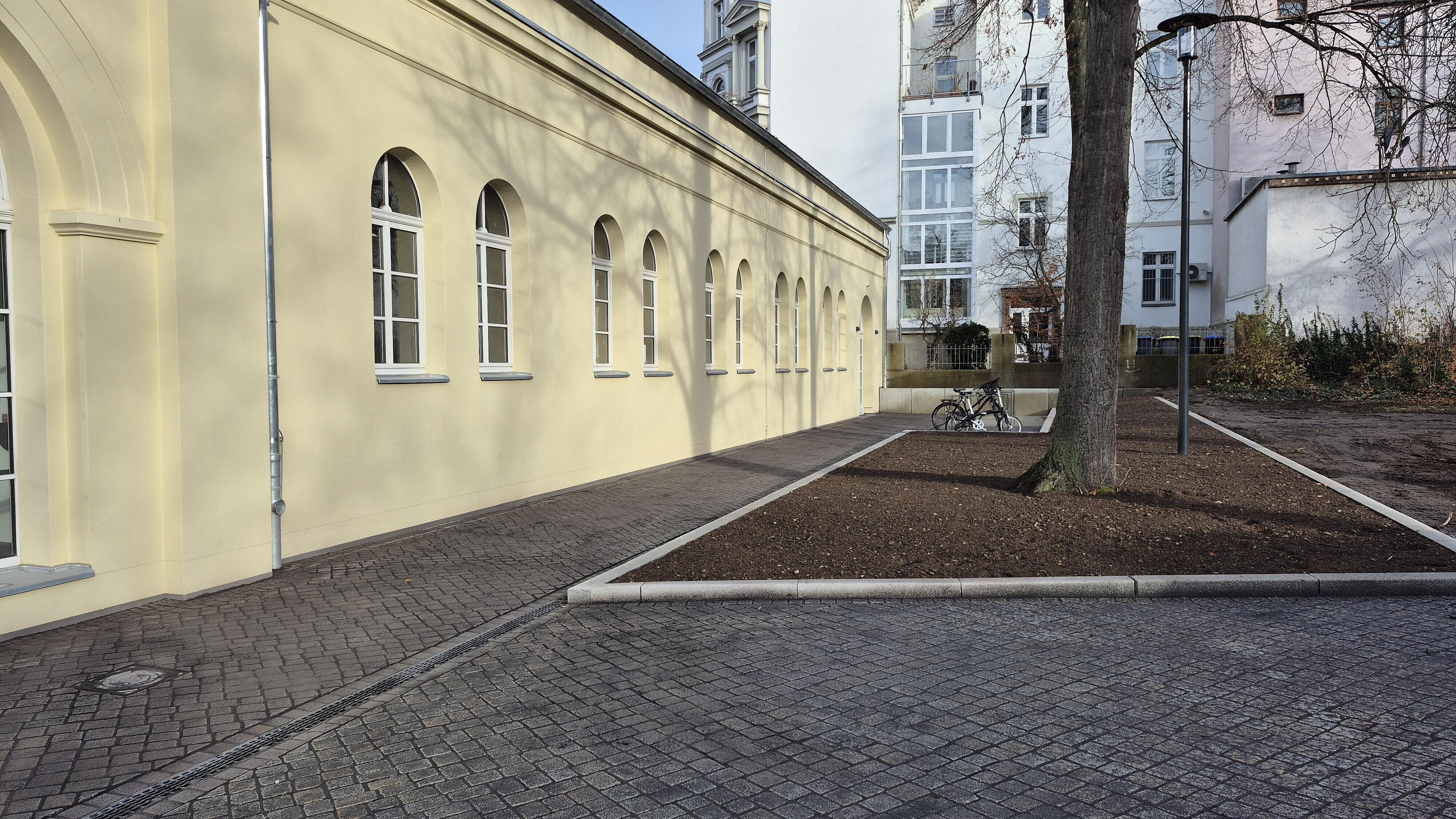 Puppentheater, Baum mit Baumumrandung. © Stadt Gera