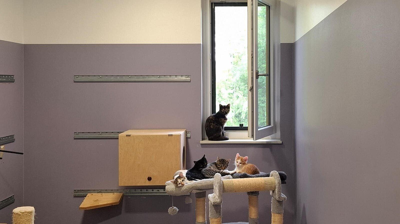 Mutti mit Kitten. © Stadt Gera