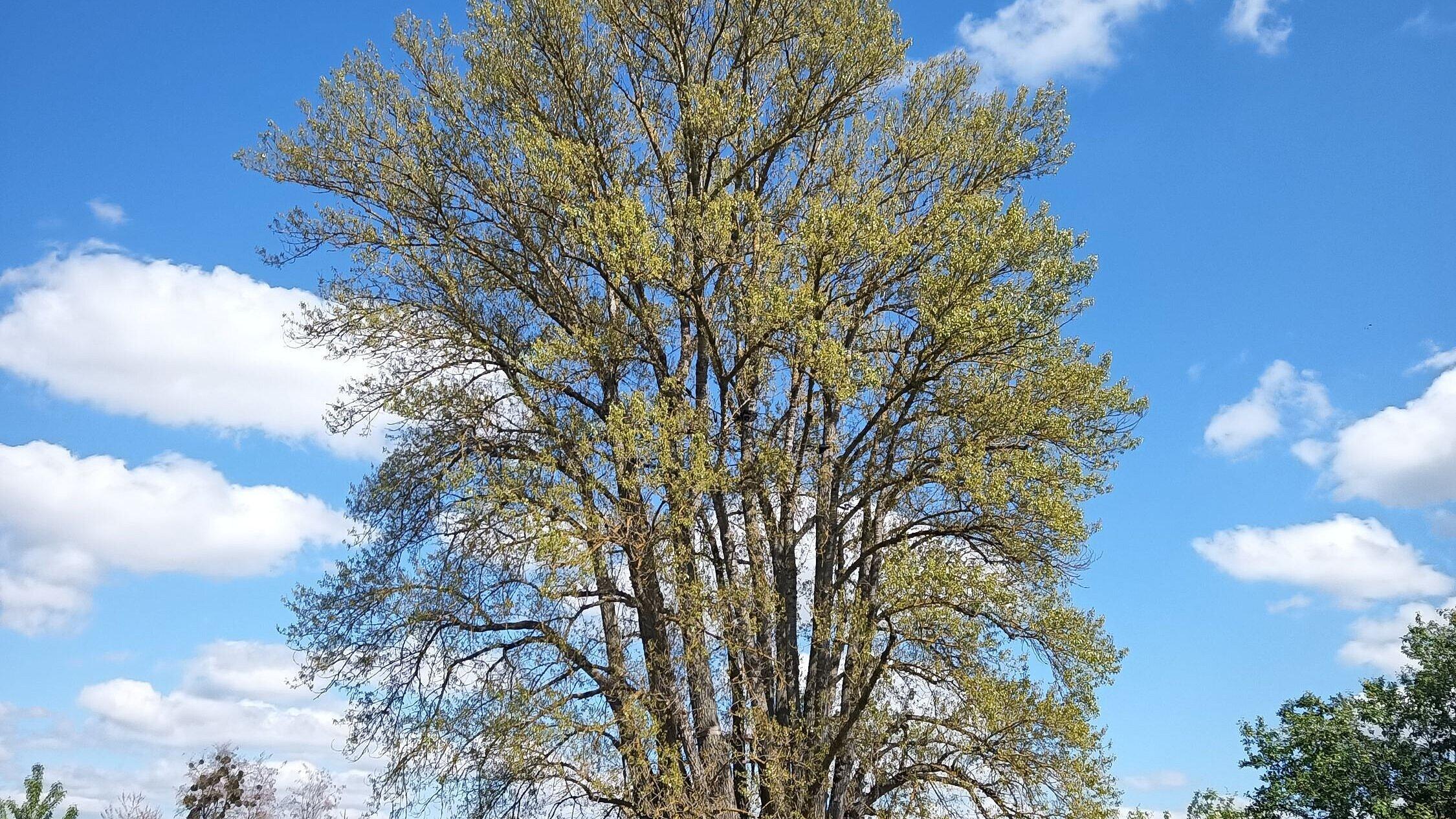 undefined. © Frank Schwarzentrub. © Frank Schwarzentrub