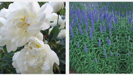 undefined. © Stadt Gera. © Stadt Gera