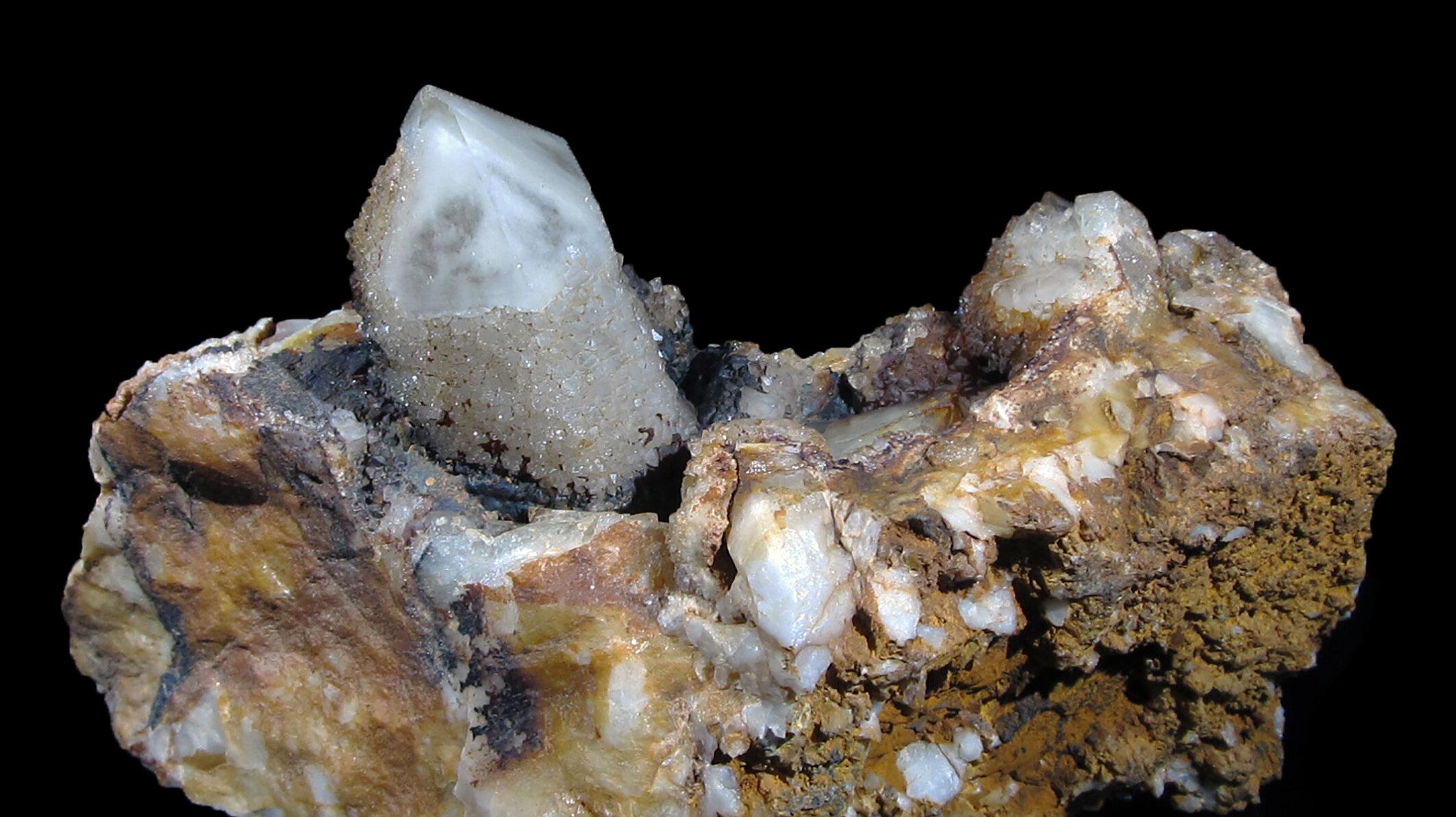 undefined. © Stadt Gera / Museum für Naturkunde (Fotograf: Frank Hrouda). © Stadt Gera / Museum für Naturkunde (Fotograf: Frank Hrouda)