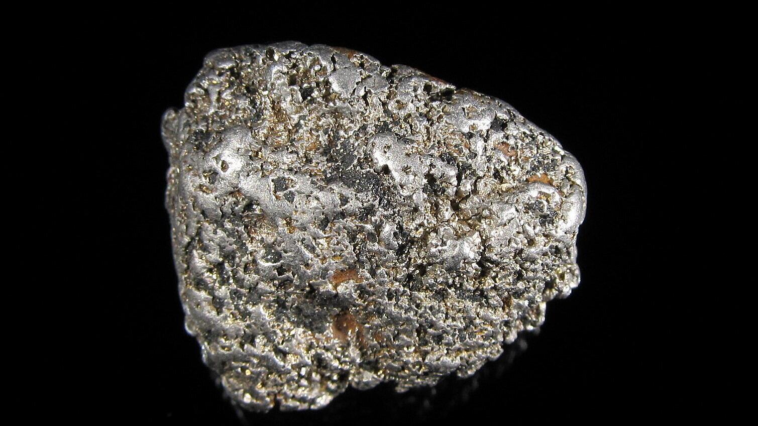 undefined. © Stadt Gera / Museum für Naturkunde (Fotograf: Frank Hrouda). © Stadt Gera / Museum für Naturkunde (Fotograf: Frank Hrouda)