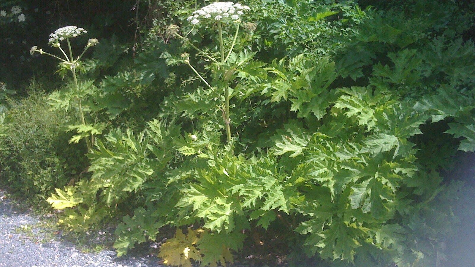 undefined. © Kathrin Voigt. © Kathrin Voigt