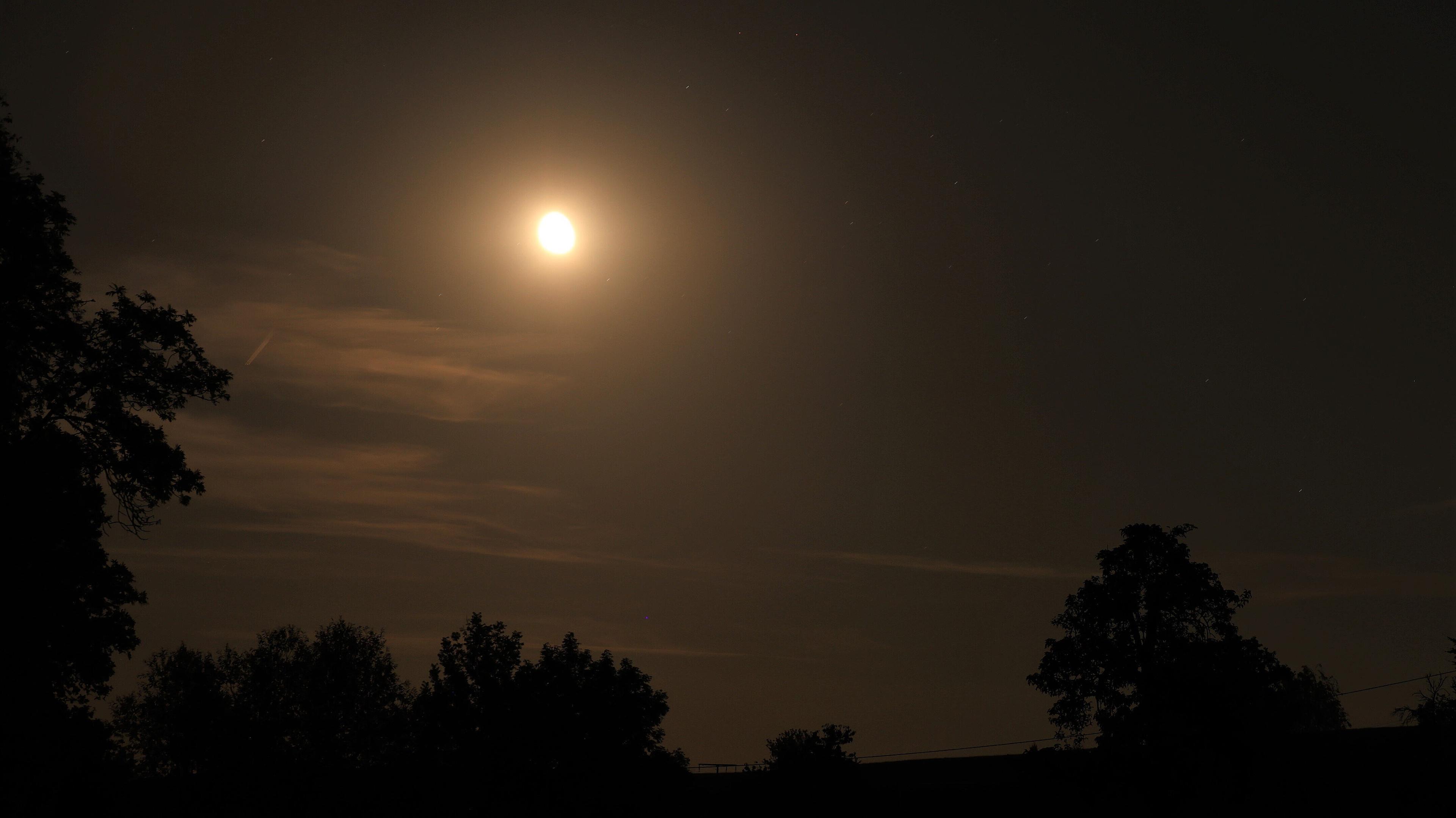 Blick in den dunklen Nachthimmel mit Mond im Dunst bei Zedlitz/Seifersdorf. © Stadt Gera / Museum für Naturkunde (Fotograf: Dr. Andreas Gerth)