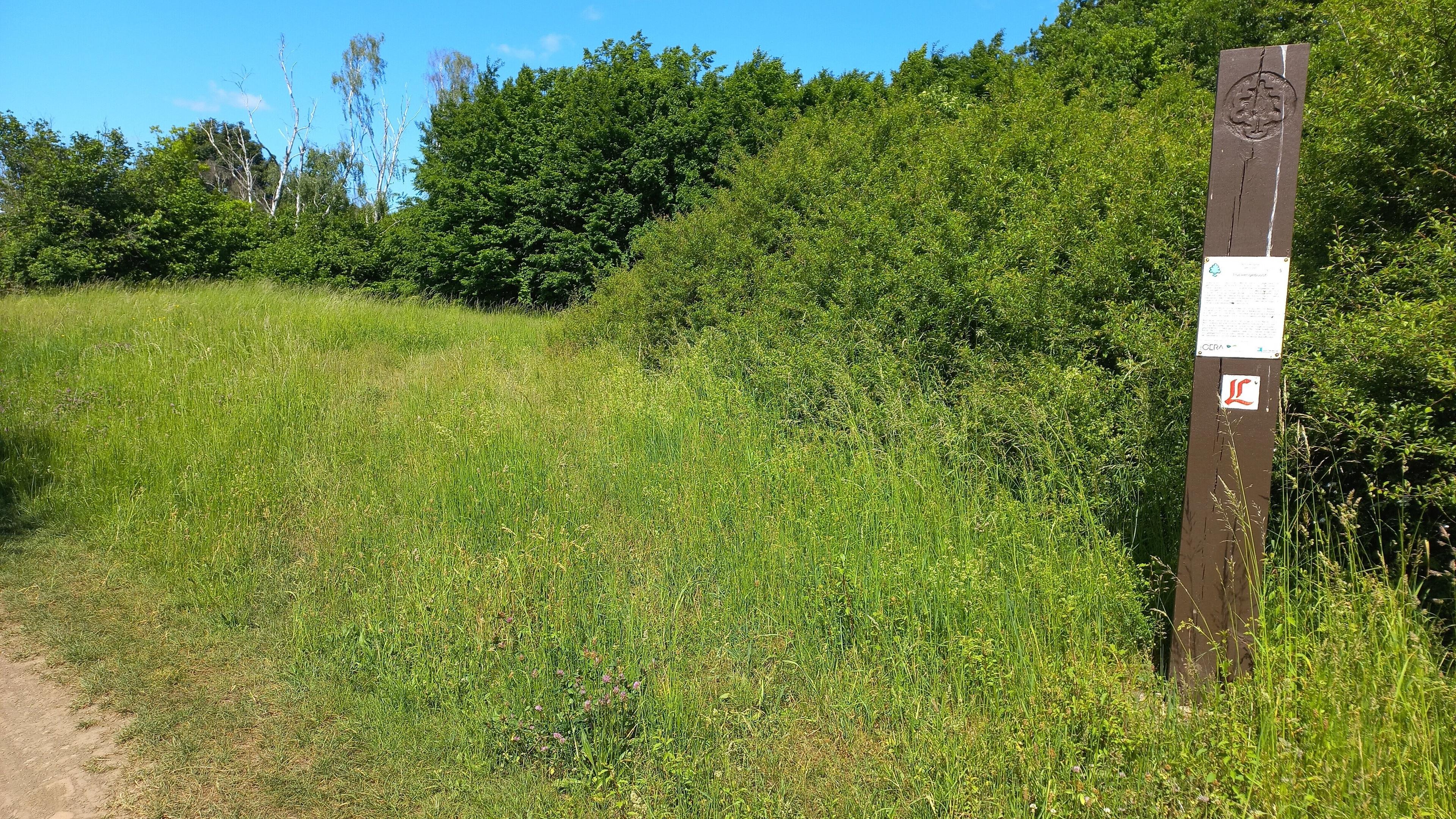 undefined. © Andrea Geithner. © Andrea Geithner