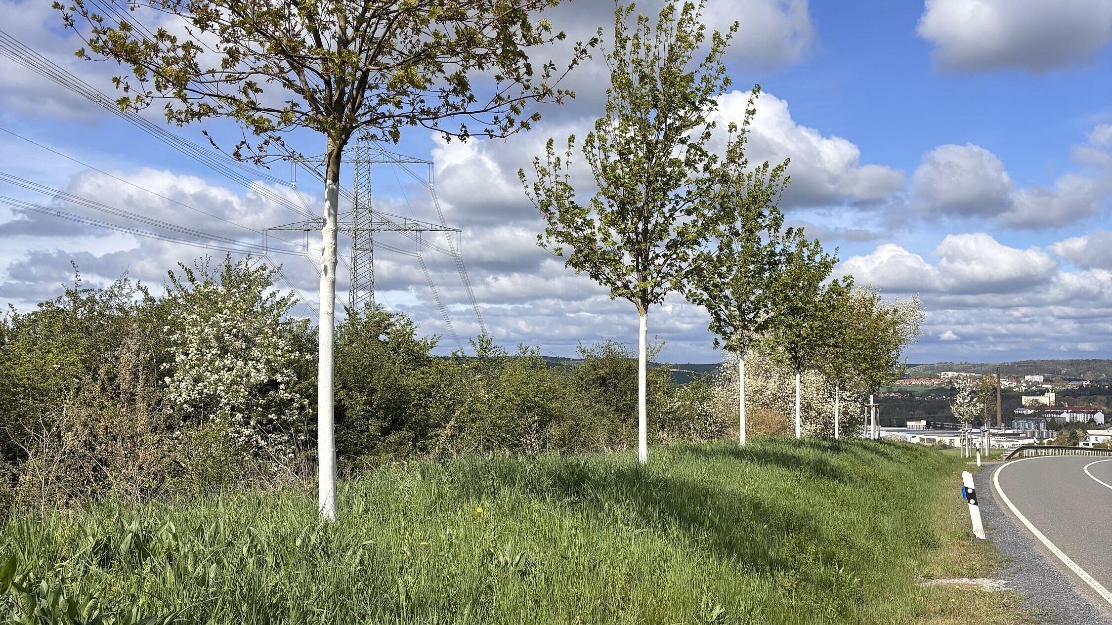 undefined. © Stadt Gera. © Stadt Gera