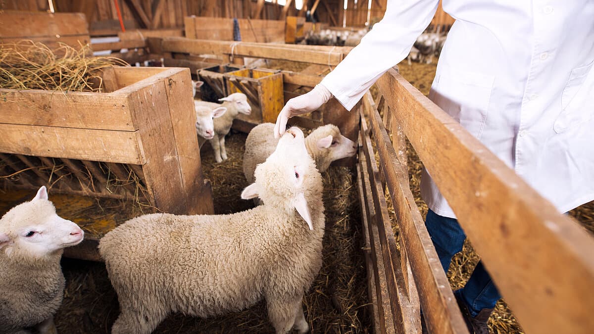 . © stock.adobe.com