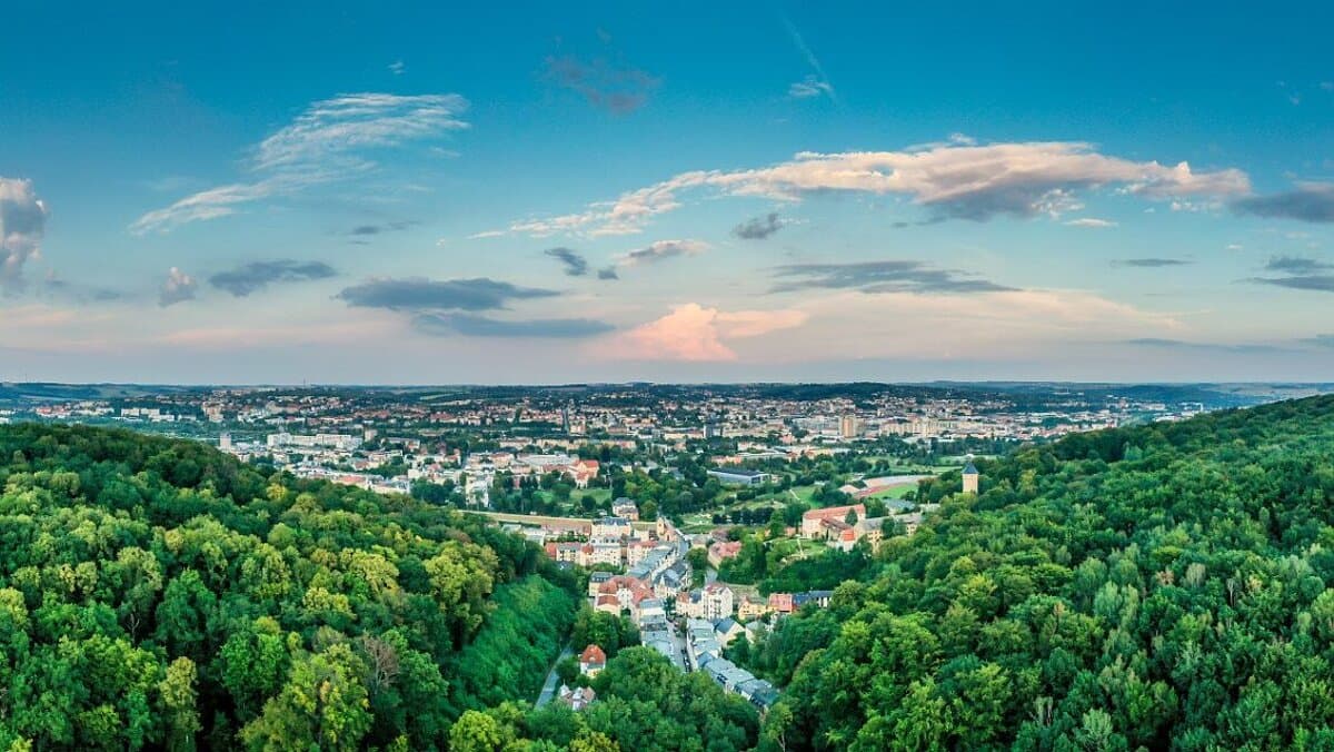 Blick von oben auf den Geraer Stadtwald. © David Hoffmann
