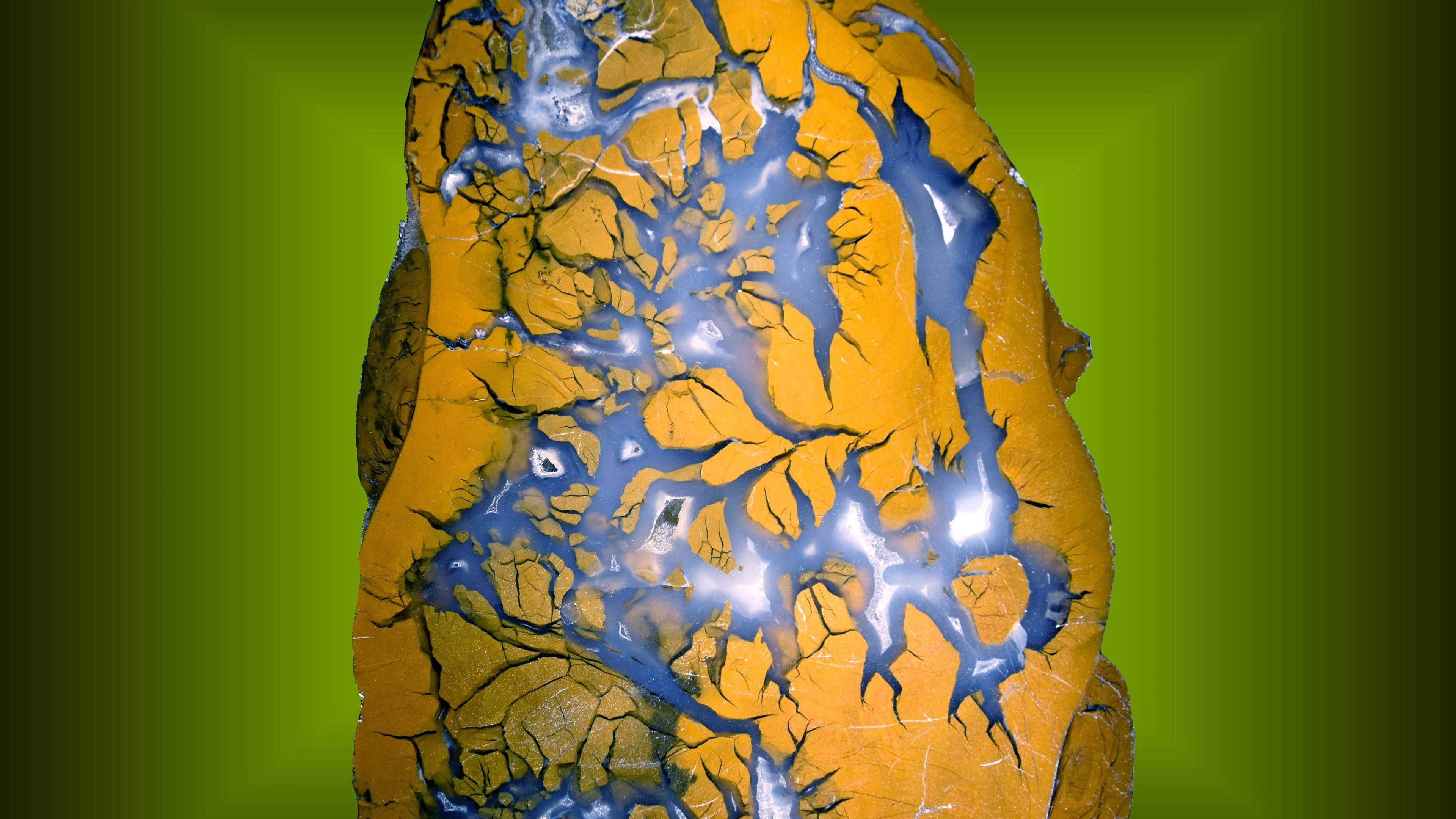 undefined. © Dr. Matthias Schreiter. © Dr. Matthias Schreiter