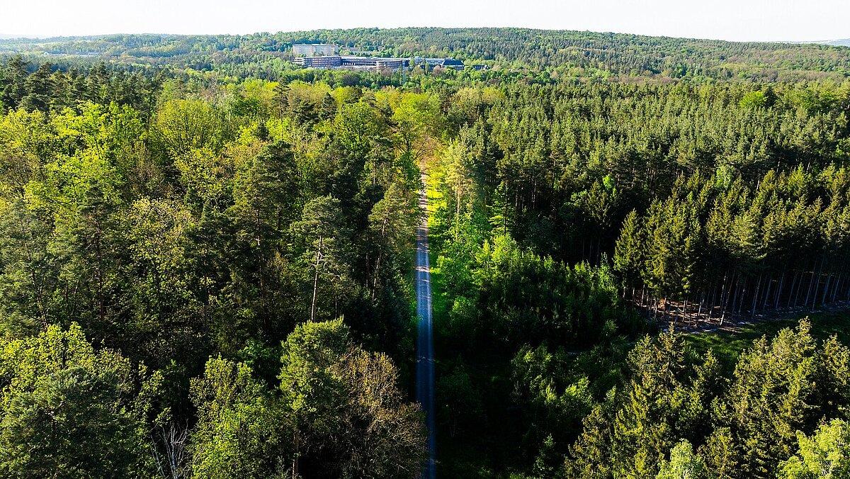 Eine Luftaufnahme vom Stadtwald.. © Stadt Gera