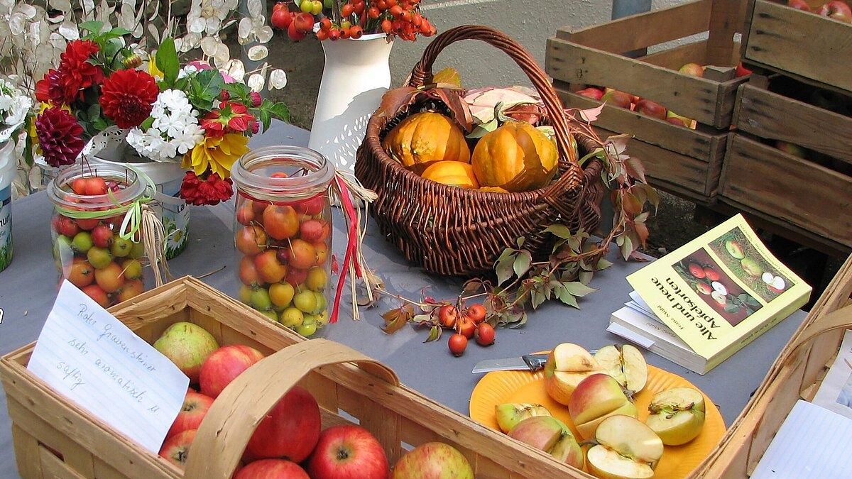 Ein Marktstand mit farbenfrohen Früchten und Blüten. © Stadt Gera / Museum für Naturkunde