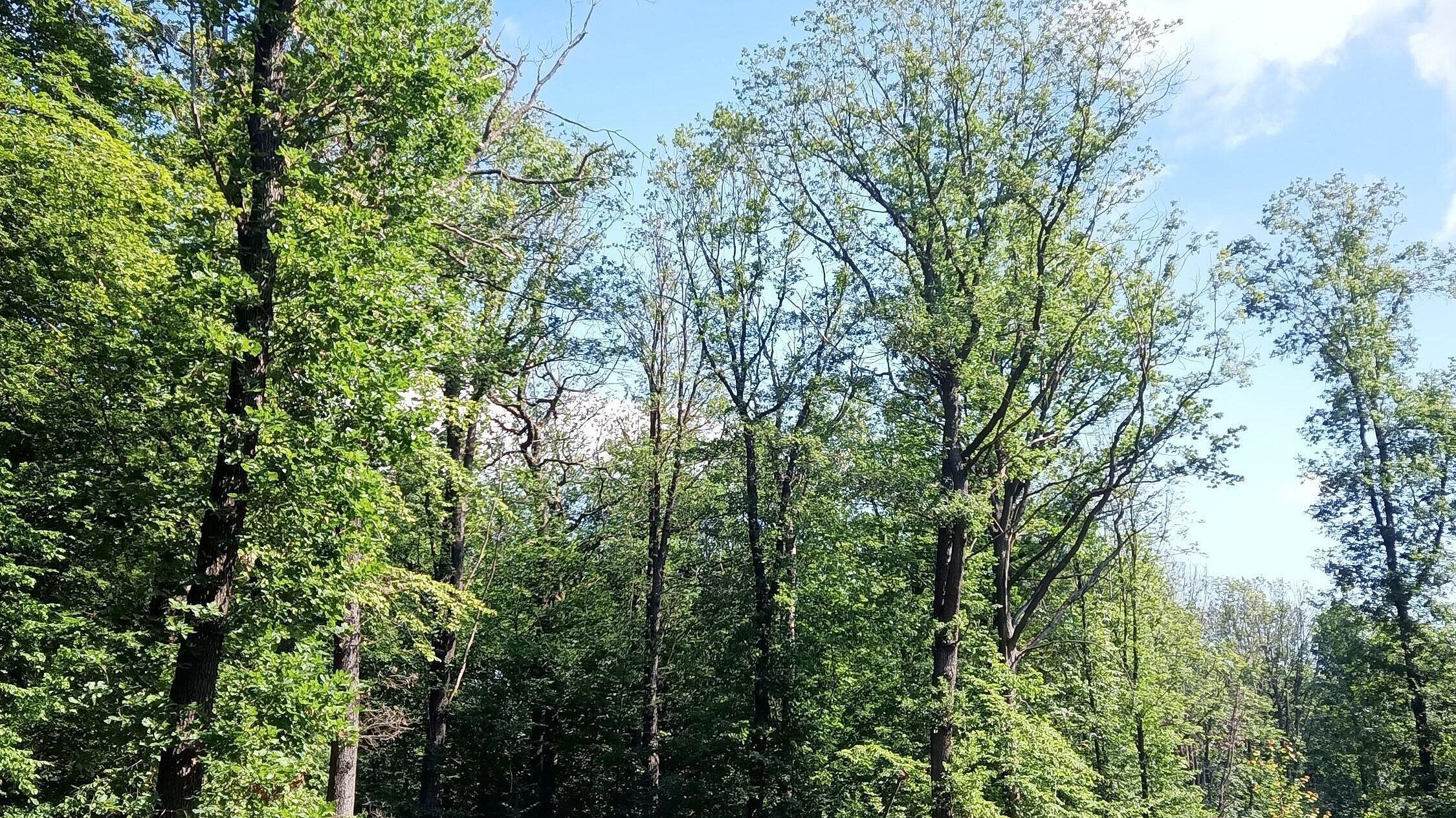 undefined. © Stadt Gera. © Stadt Gera