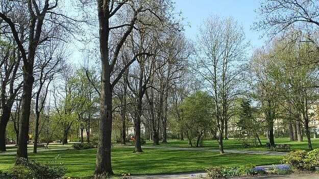 Die neue Baumschutzsatzung der Stadt Gera. © Klaus Schultheiß